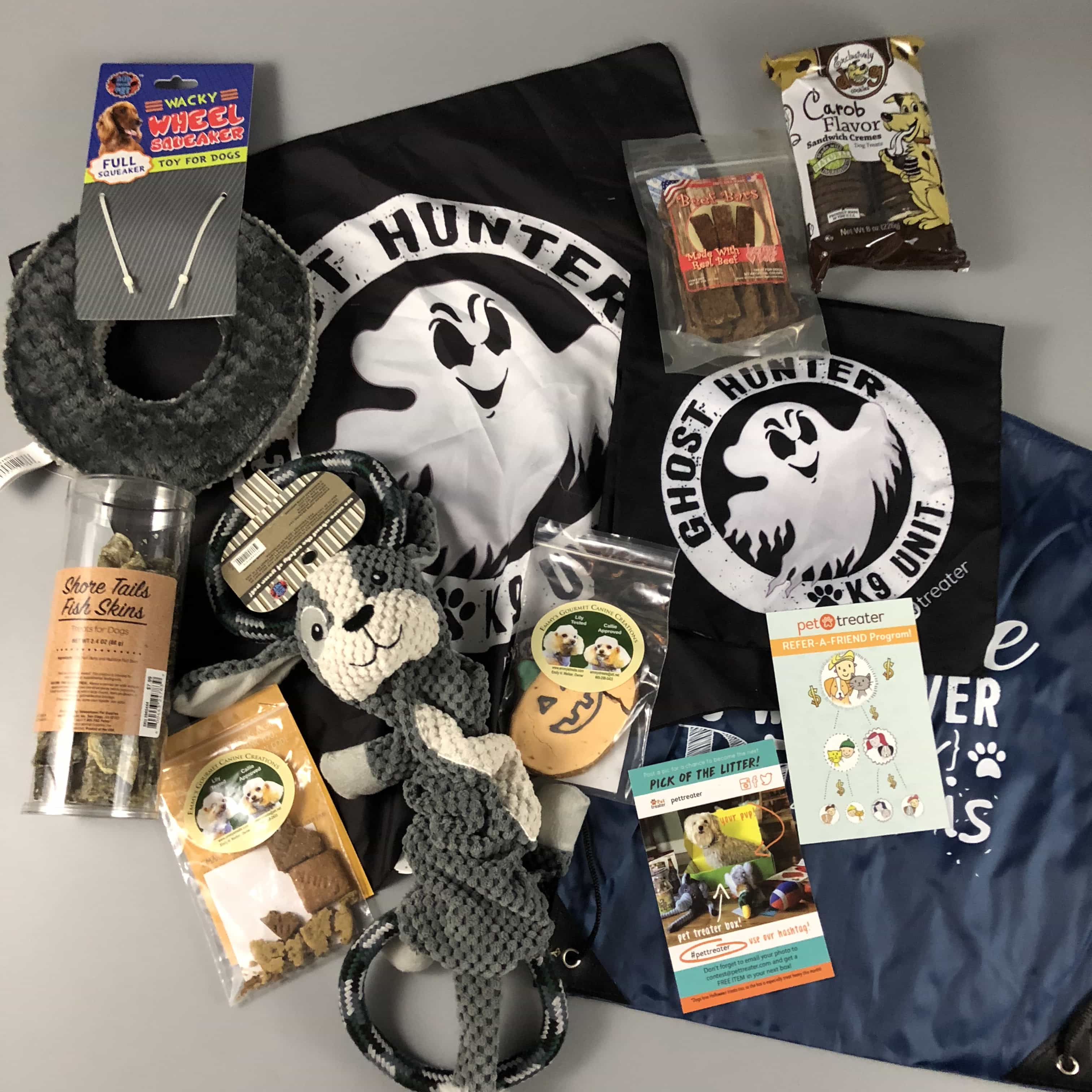 Pet Treater Dog Subscription Box Review + Coupon – October 2017