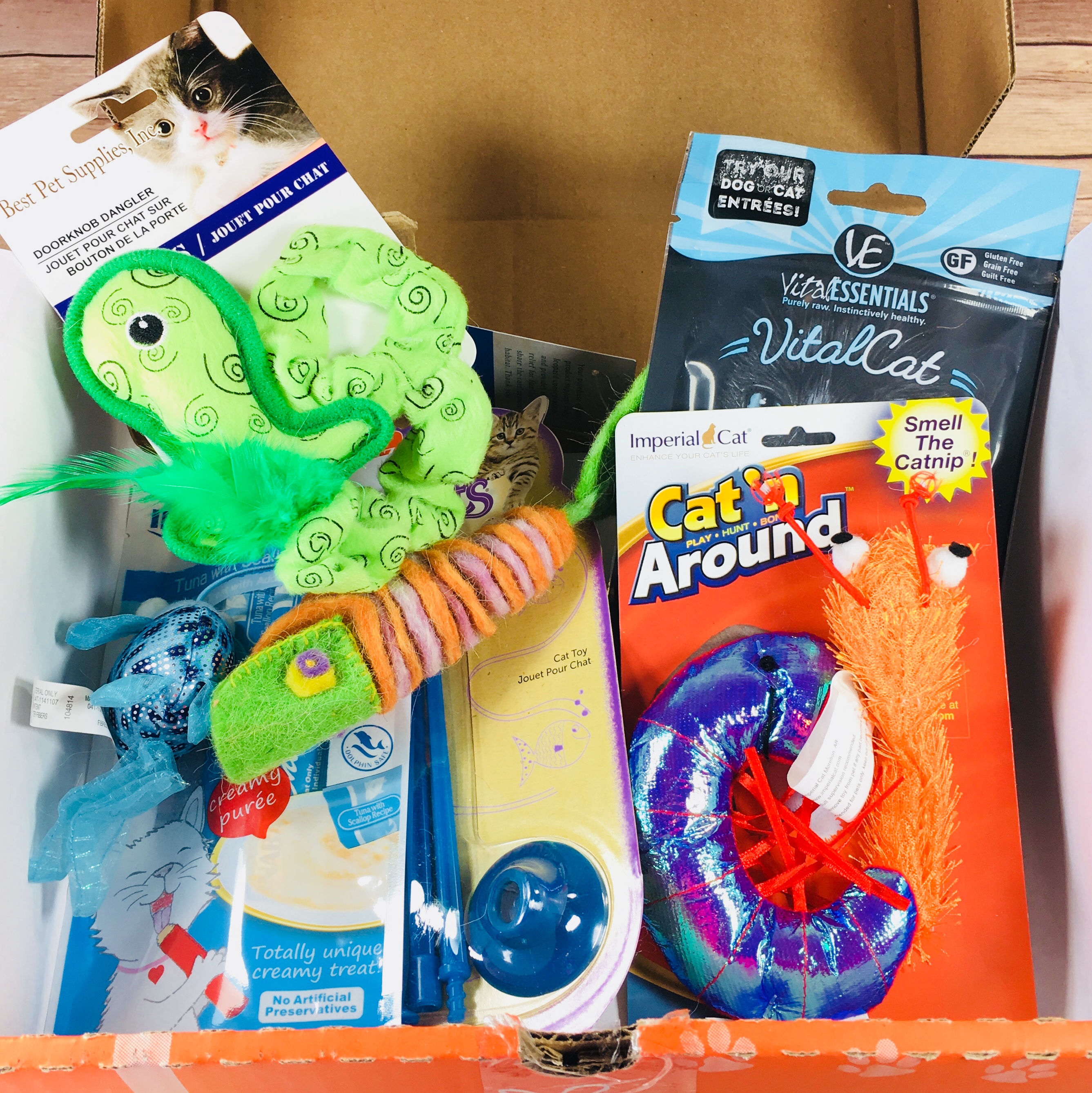 PetGiftBox October 2017 Cat Subscription Box Review + 50% Off Coupon
