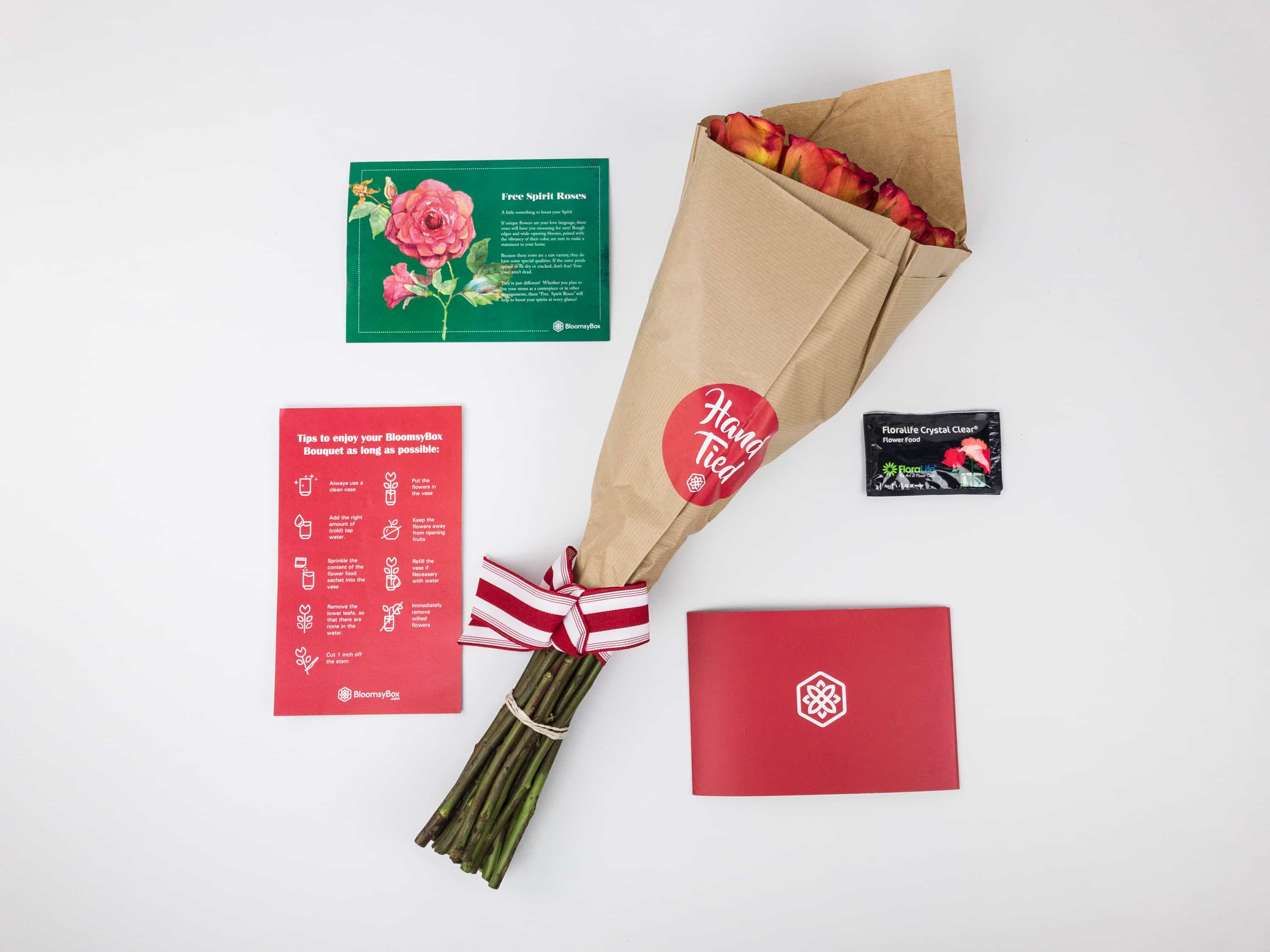 BloomsyBox Flower November 2017 Subscription Box Review & Coupon