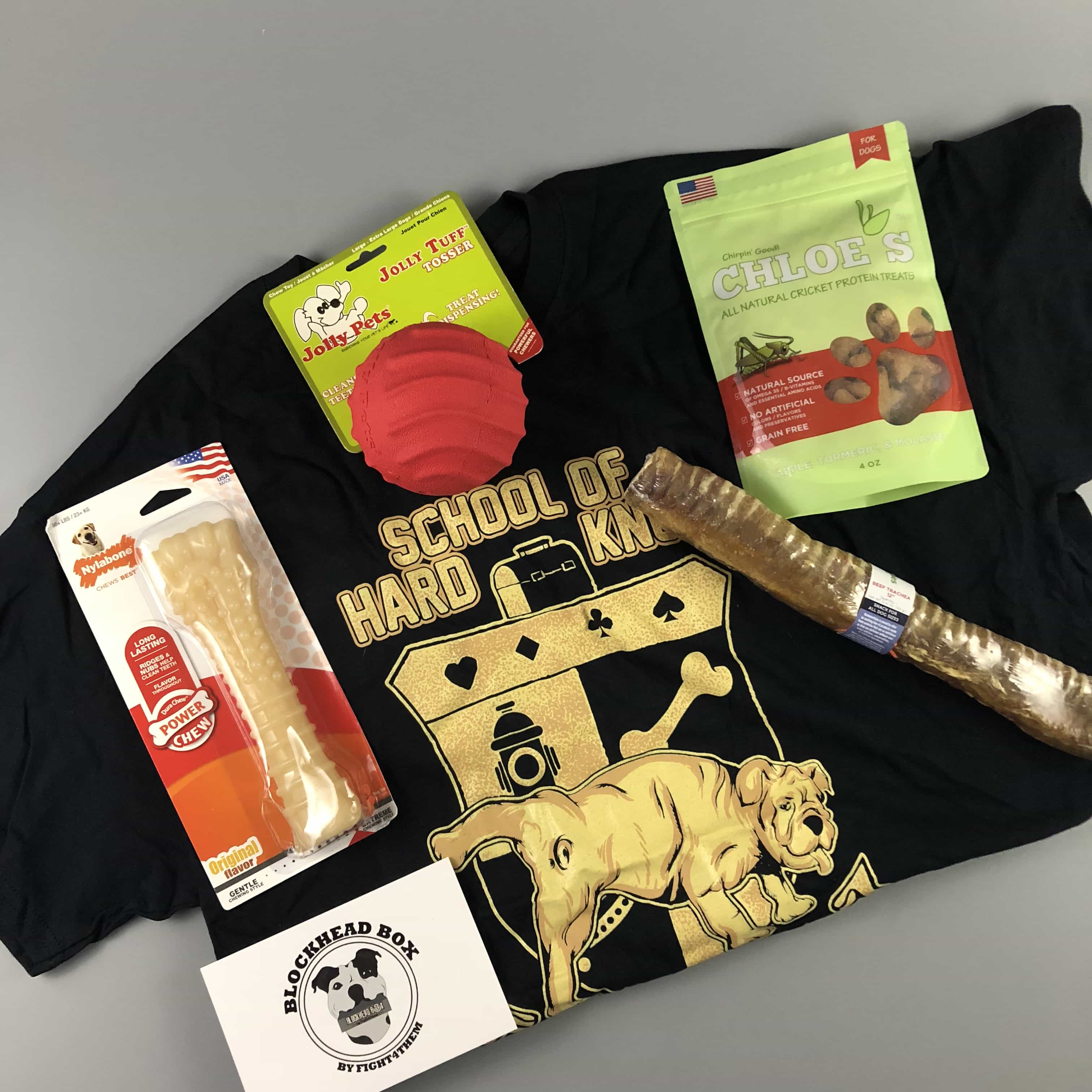 Blockhead Box October 2017 Subscription Box Review + Coupon