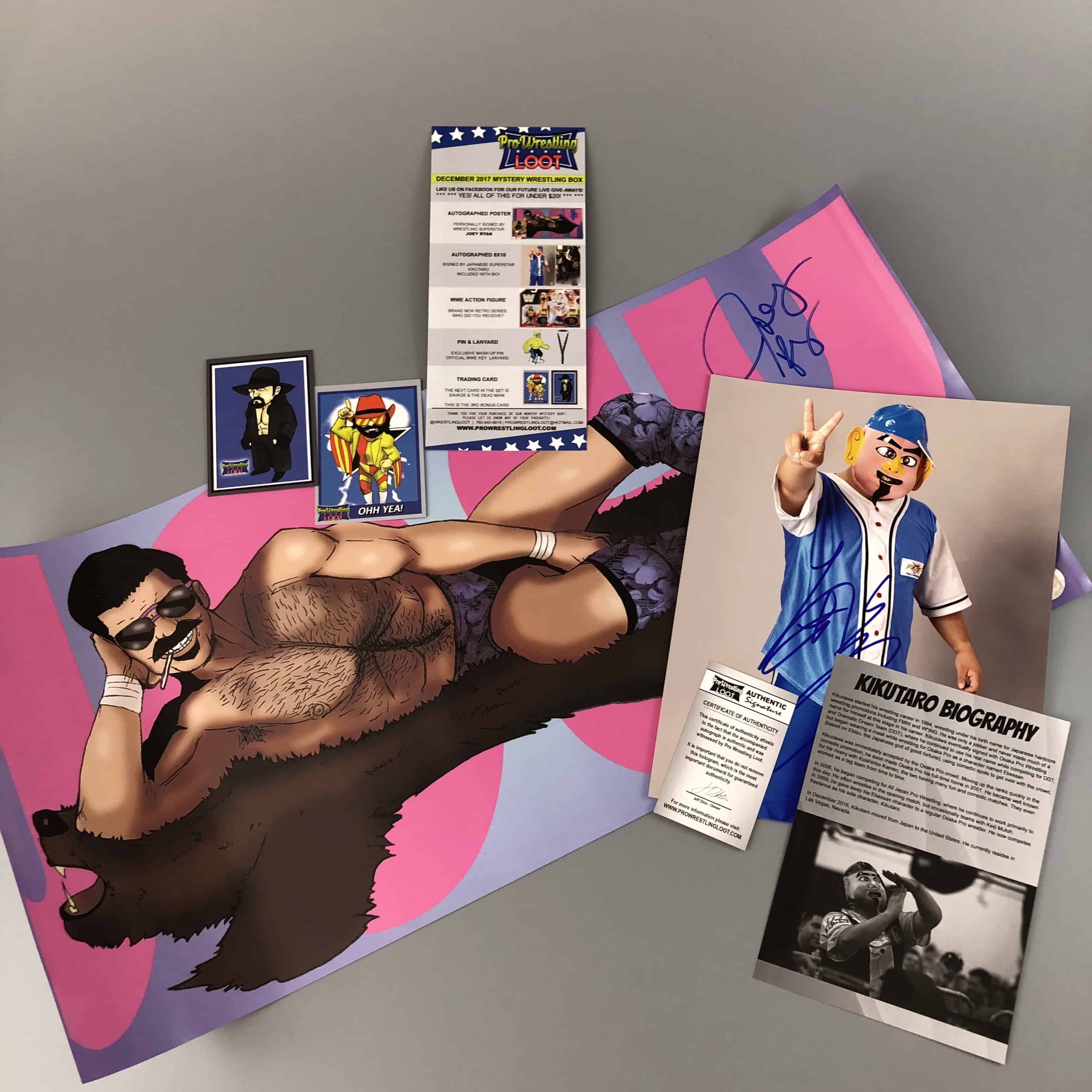 Pro Wrestling Loot December 2017 Subscription Box Review + Coupon