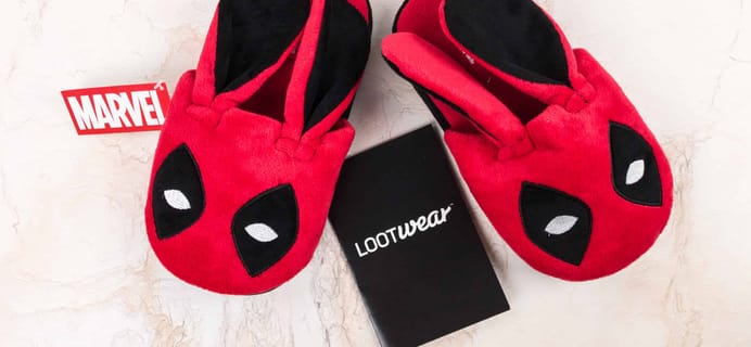 Loot Wearables Subscription by Loot Crate December 2017 Review & ﻿Coupon