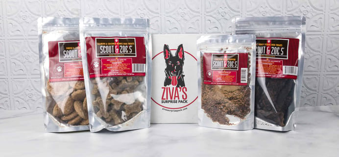Ziva’s Surprise Pack February 2018 Review