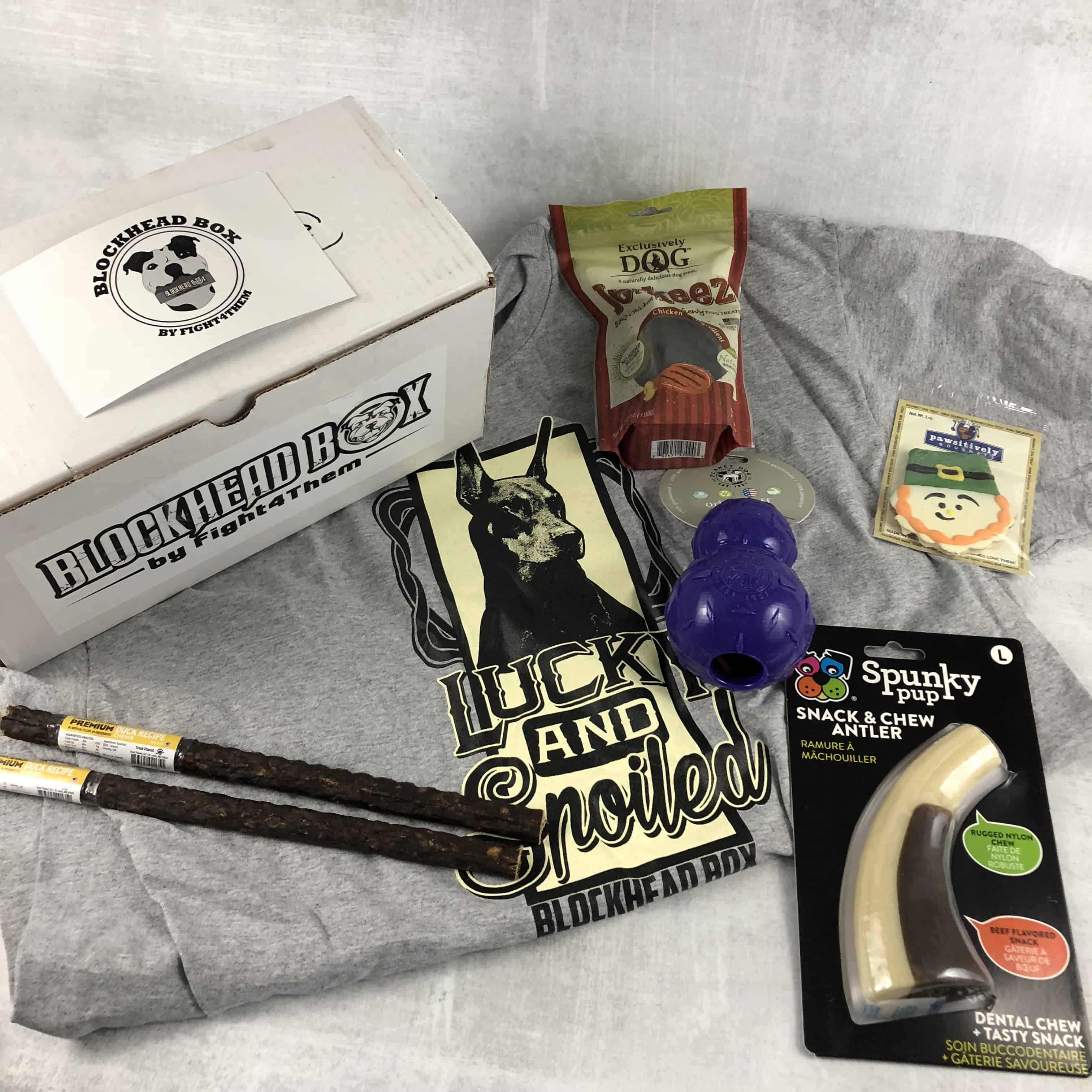 Blockhead Box April 2018 Subscription Box Review + Coupon