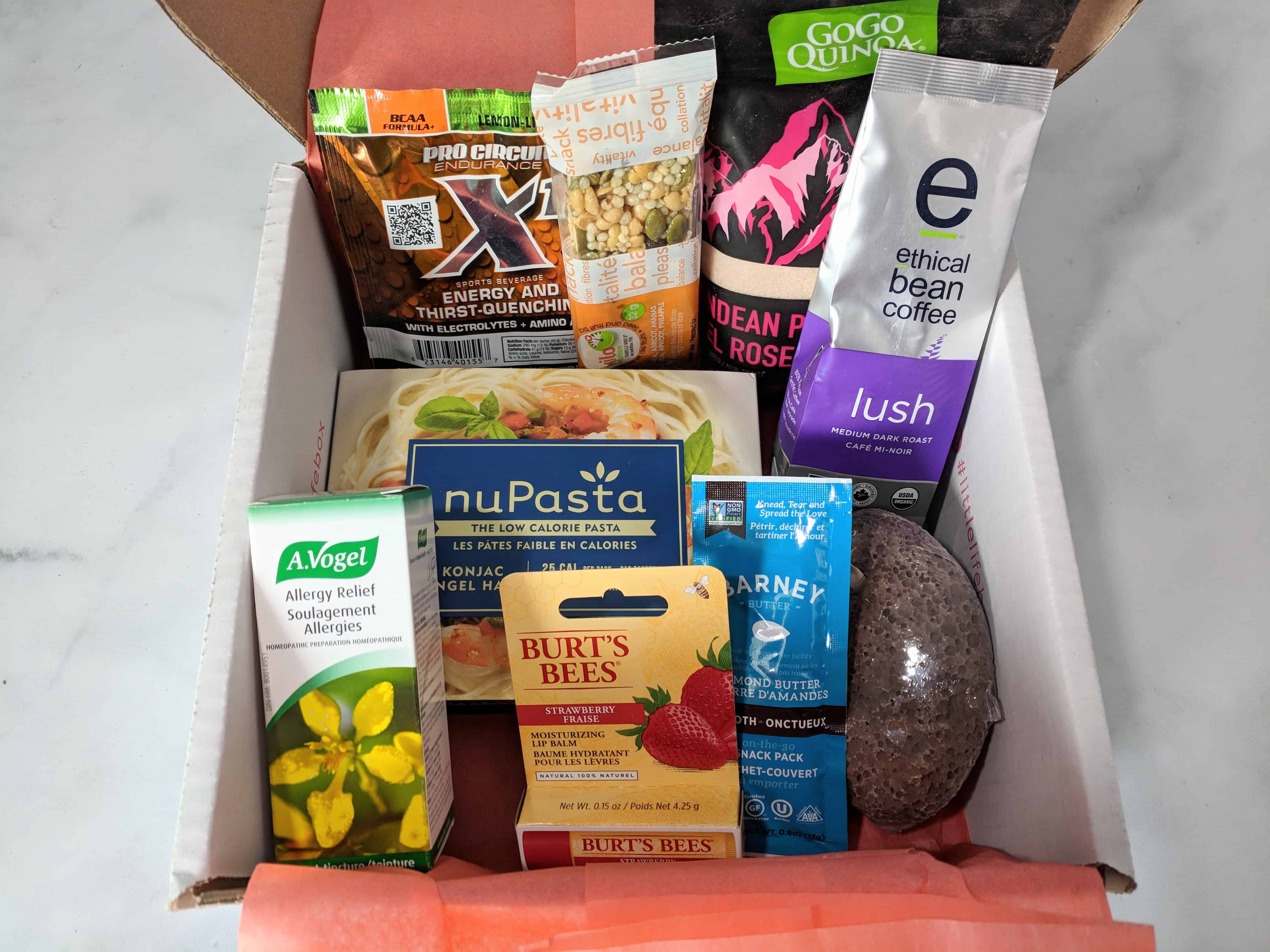 Little Life Box Subscription Box Review + Coupon – April 2018