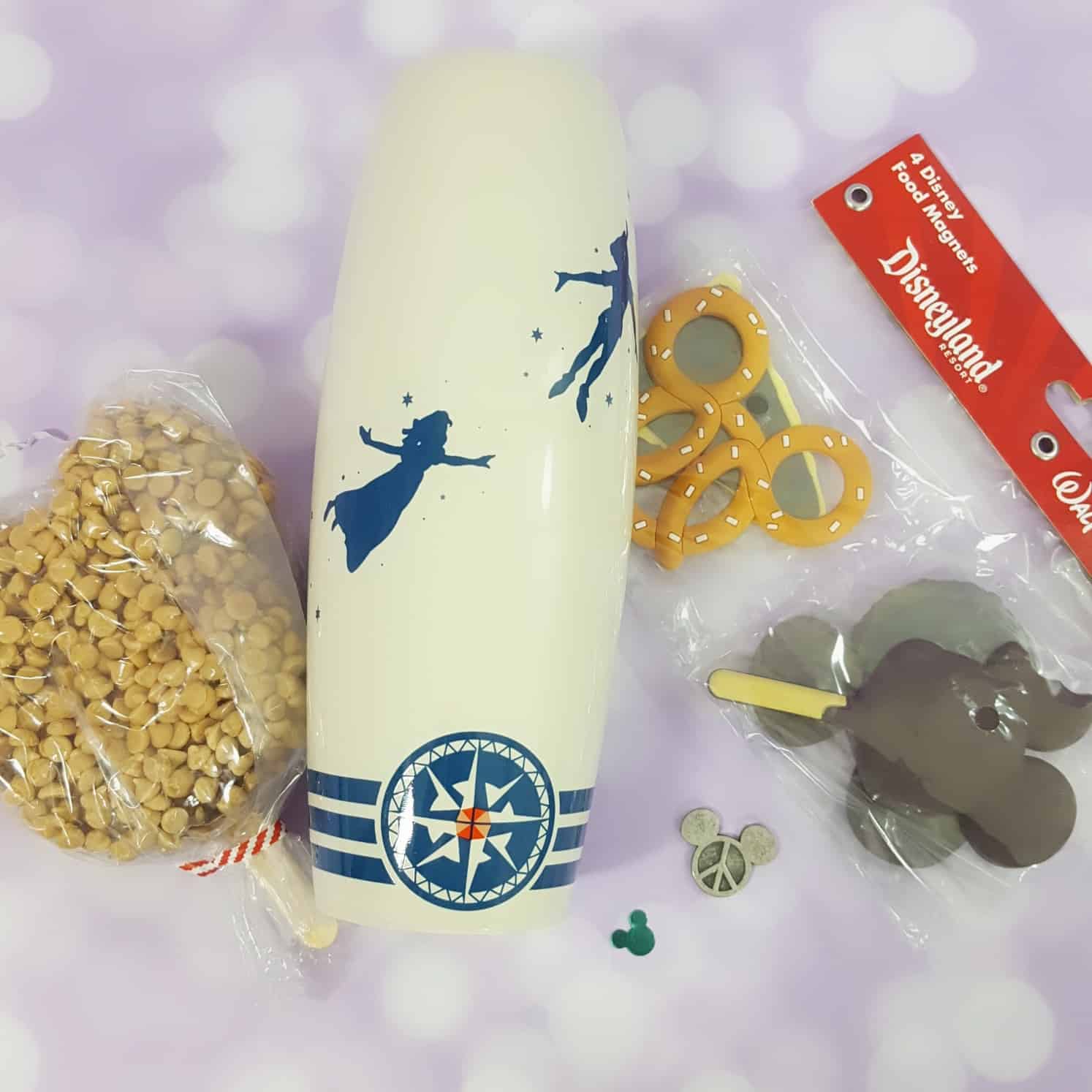 Mickey Monthly Subscription Box Review + Coupon – April 2018