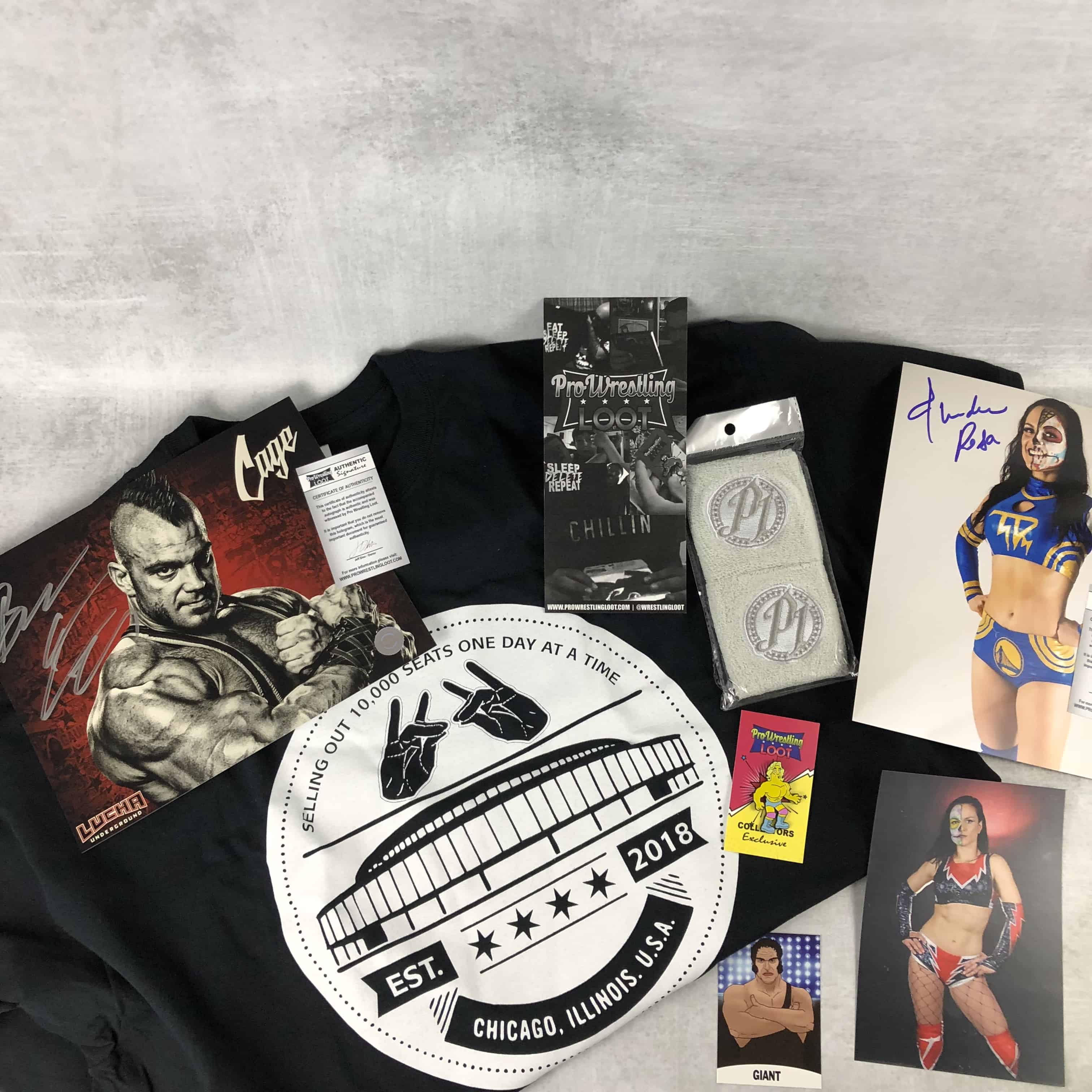Pro Wrestling Loot June 2018 Subscription Box Review + Coupon