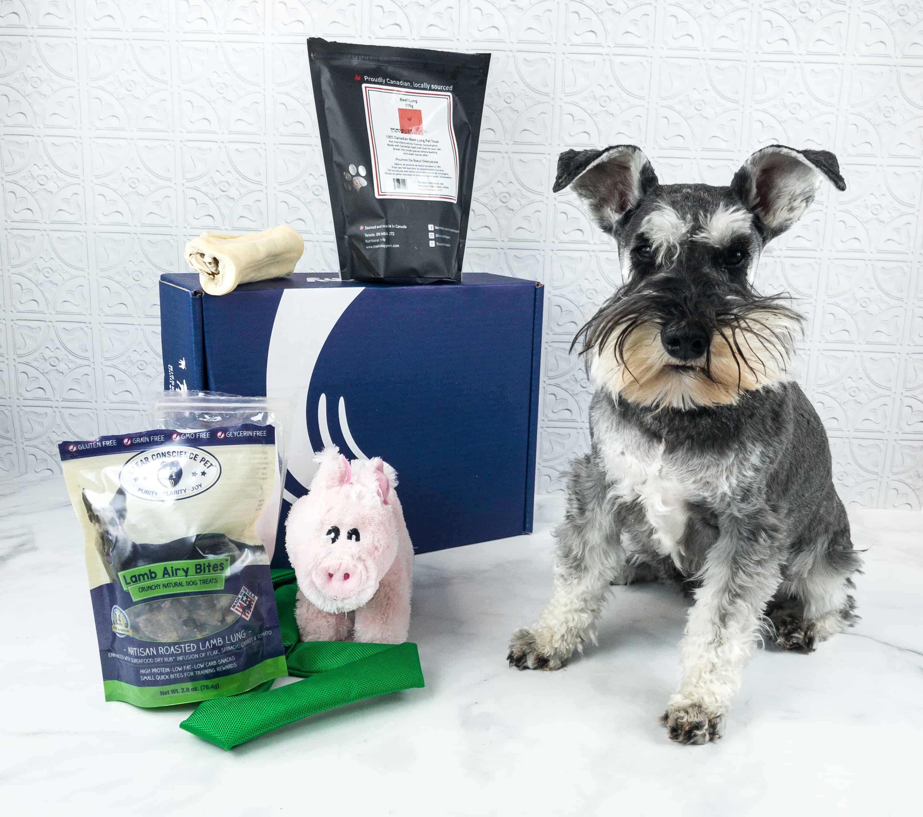 PupJoy June 2018 Subscription Box Review + Coupon