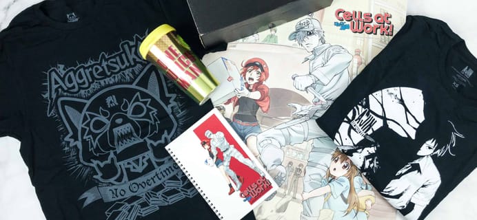 Loot Anime September 2018 Subscription Box Review & Coupons – FIERCE