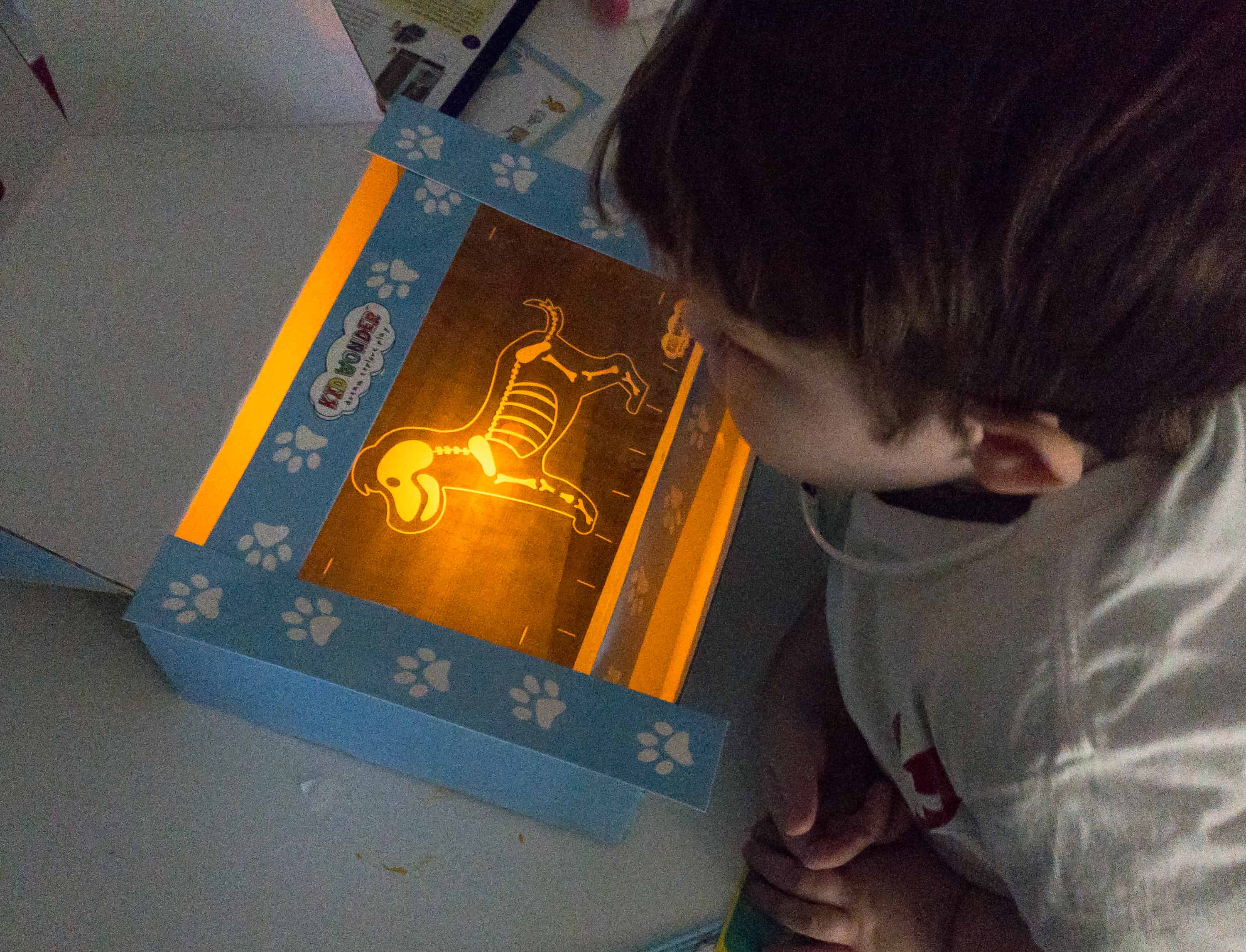 Kid Wonder Little Dreamers Box October 2018 Subscription Box Review & Coupon