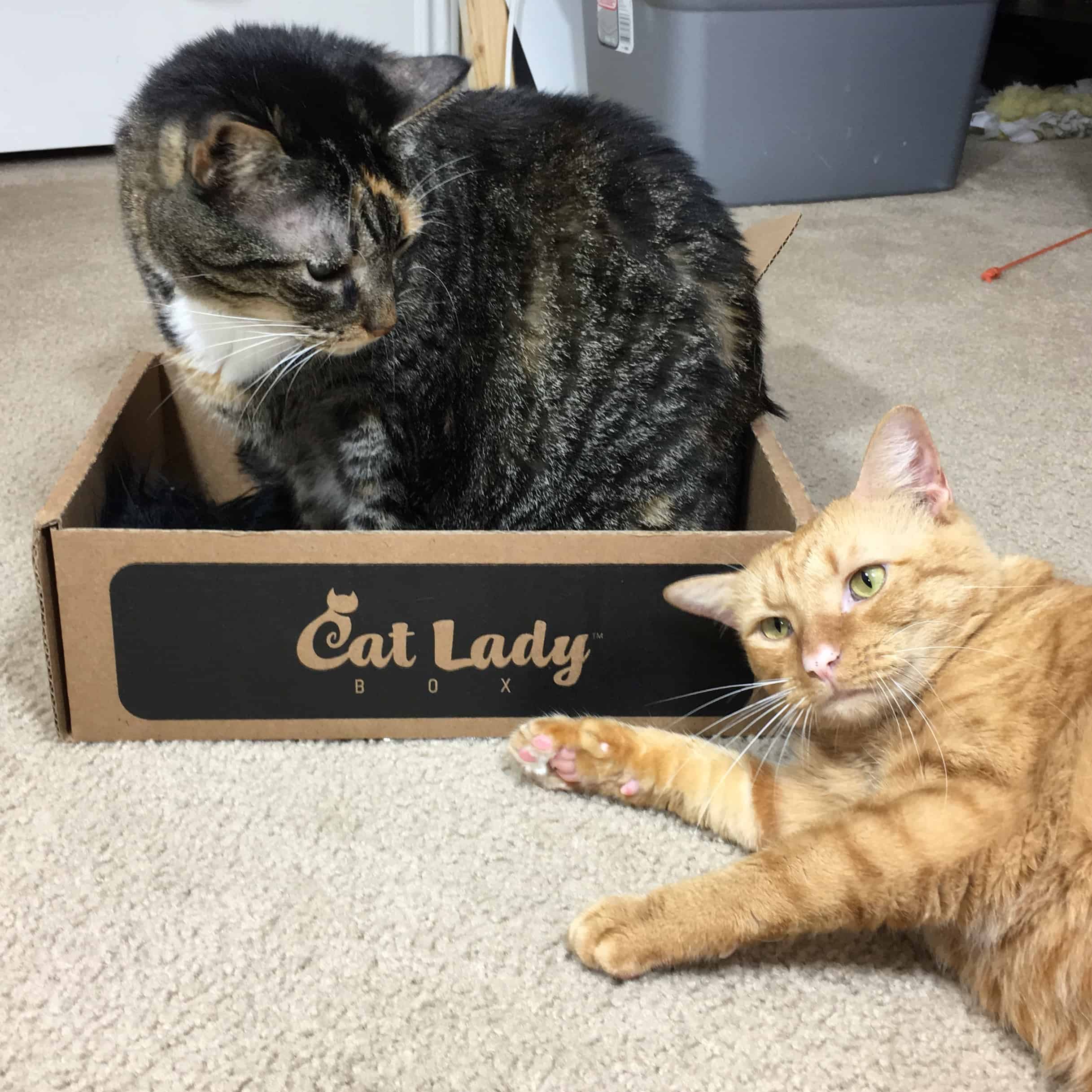 Cat Lady Box October 2018 Subscription Box Review + Coupon
