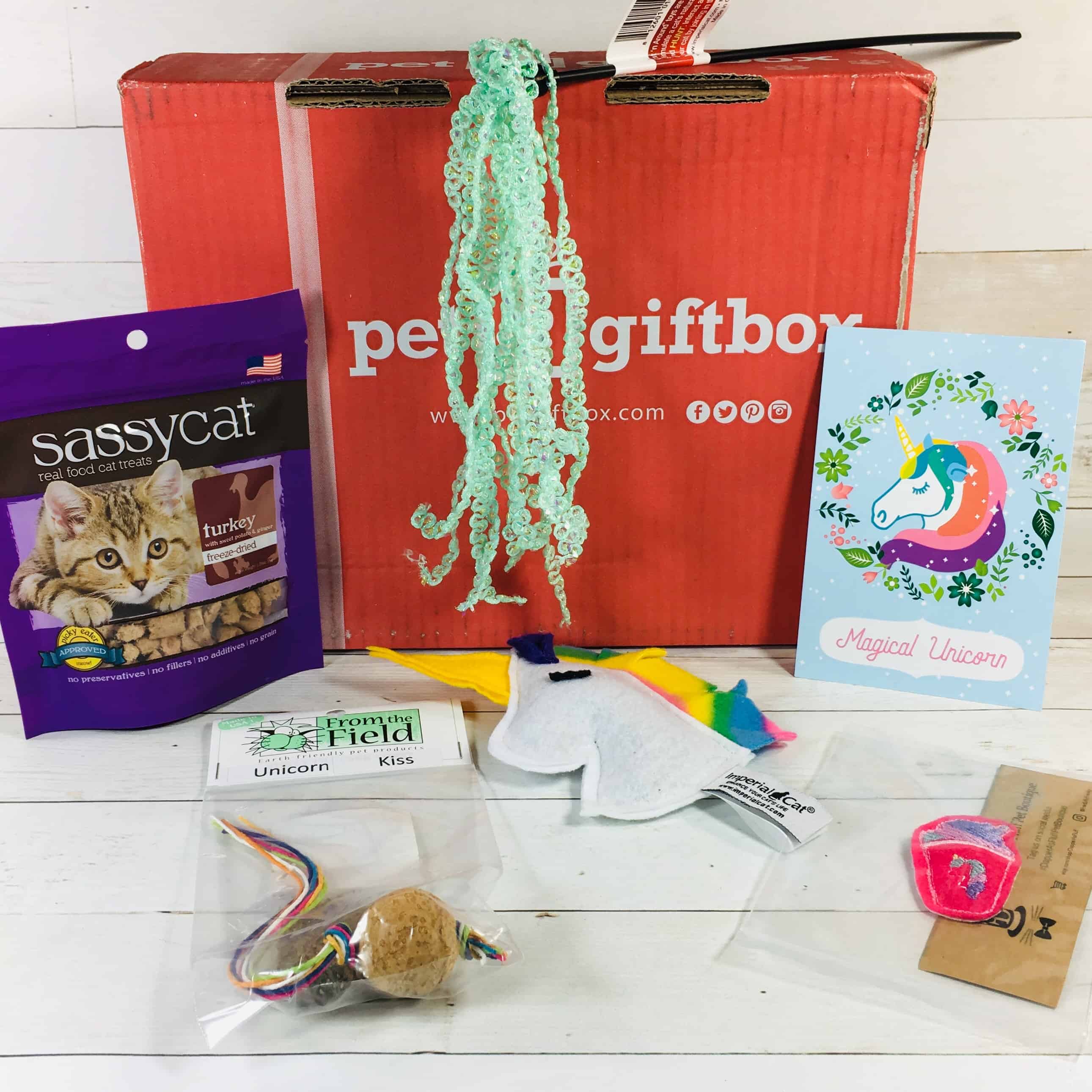 PetGiftBox Cat September 2018 Subscription Box Review + 50% Off Coupon
