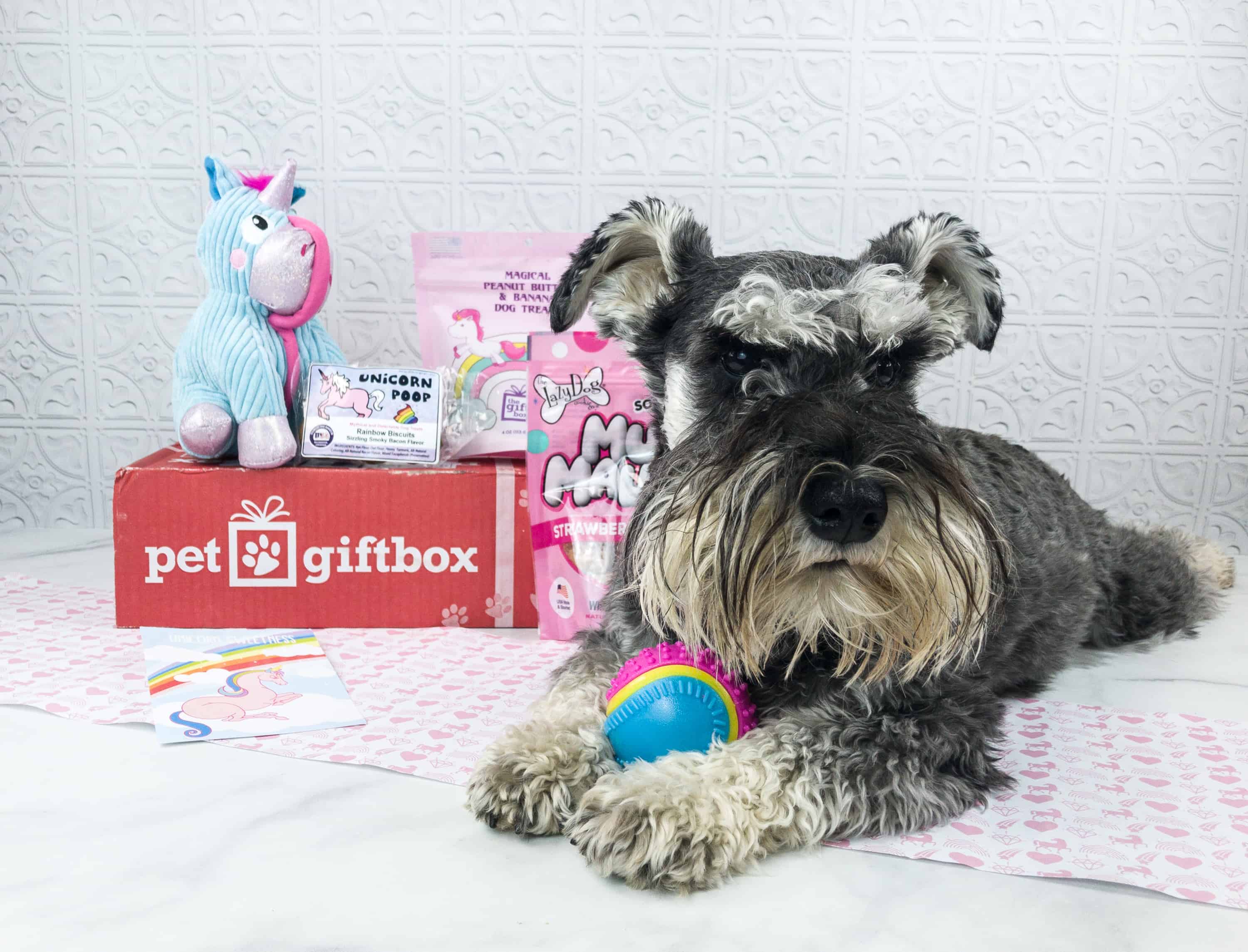 PetGiftBox September 2018 Subscription Box Review + 50% Off Coupon