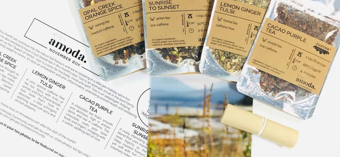 Amoda Tea November 2018 Subscription Box Review + Coupon!