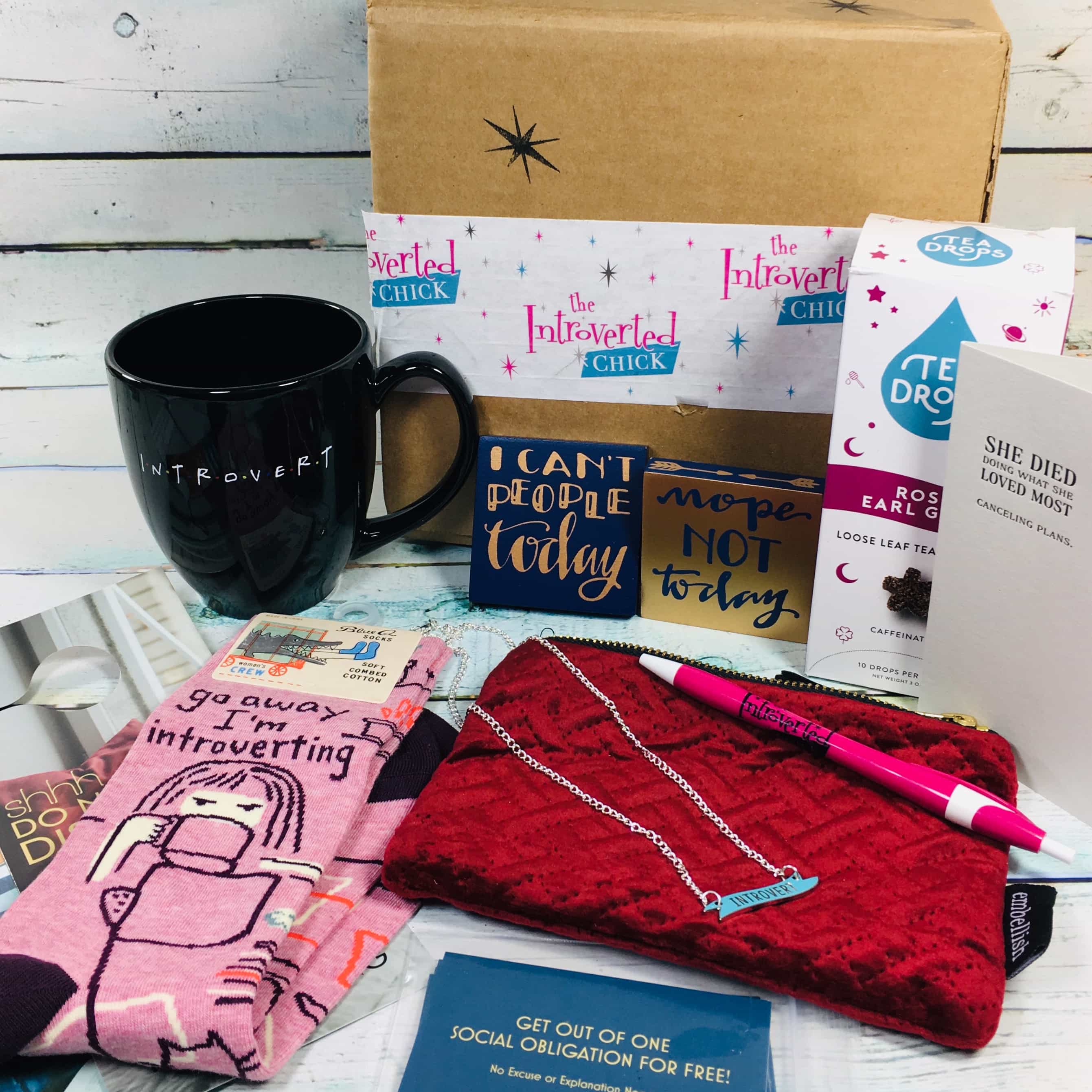 The Introverted Chick December 2018 Subscription Box Review + Coupon