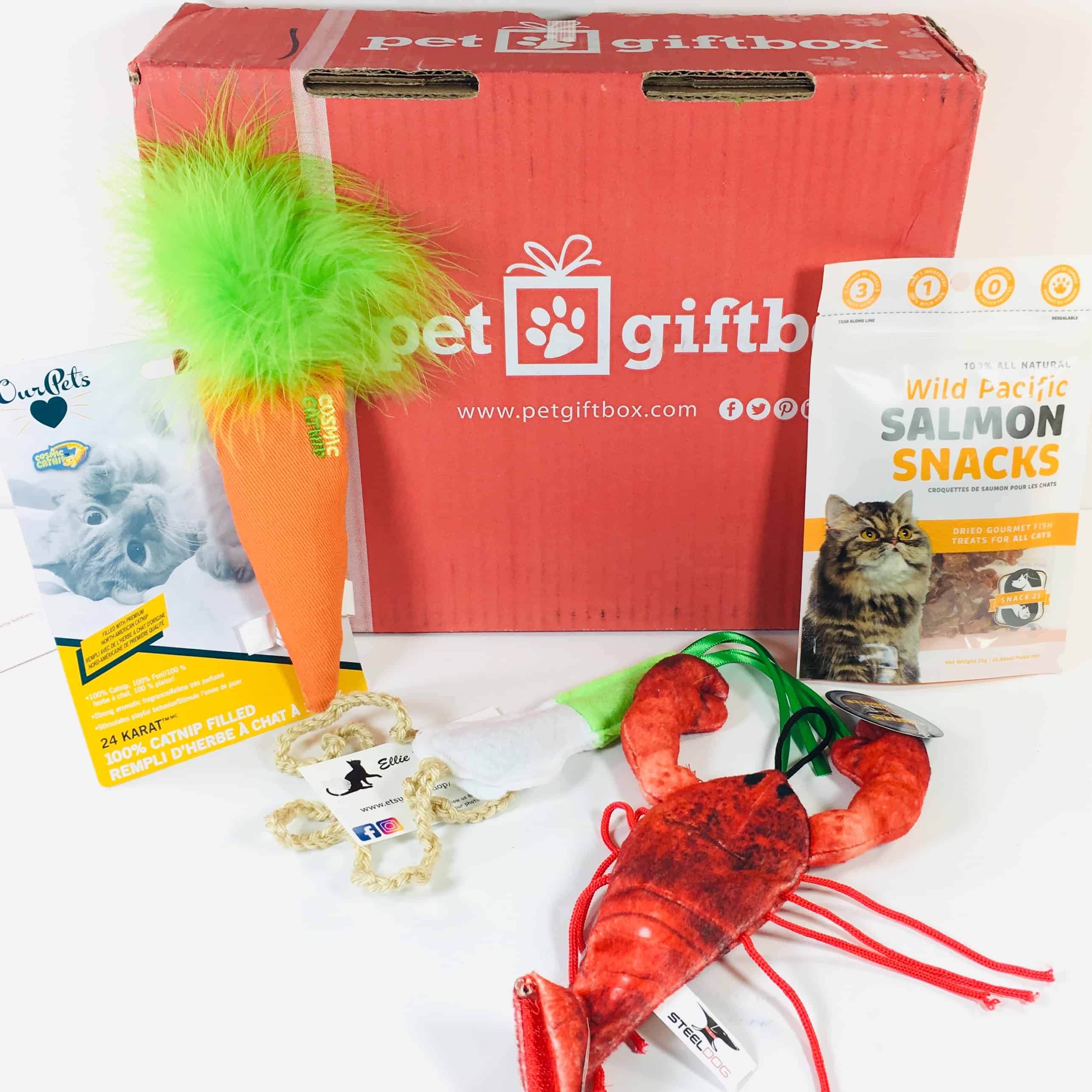 PetGiftBox Cat November 2018 Subscription Box Review + 50% Off Coupon