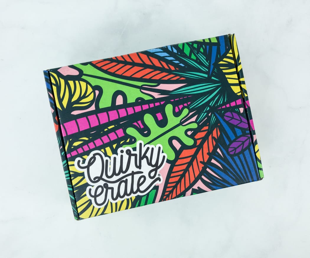 Quirky Crate February 2019 Subscription Box Review + Coupon - Hello ...
