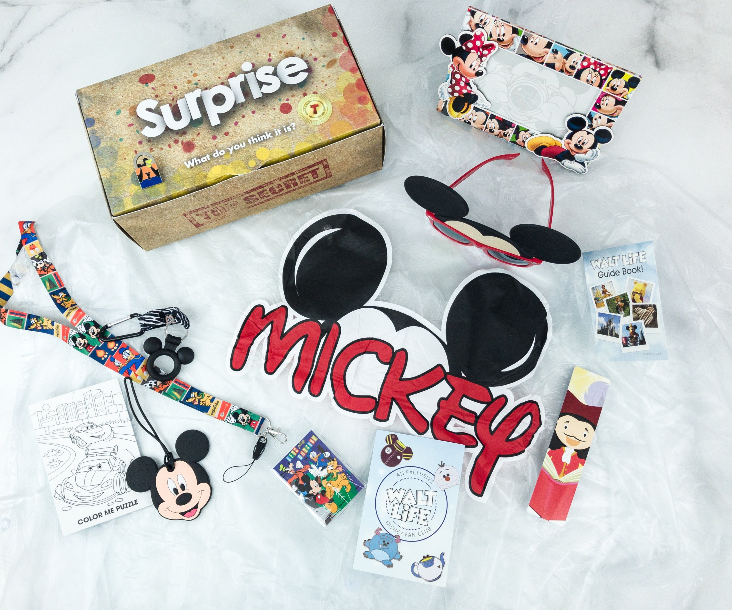 Walt Life Surprise! Box March 2019 Subscription Box Review + Coupon
