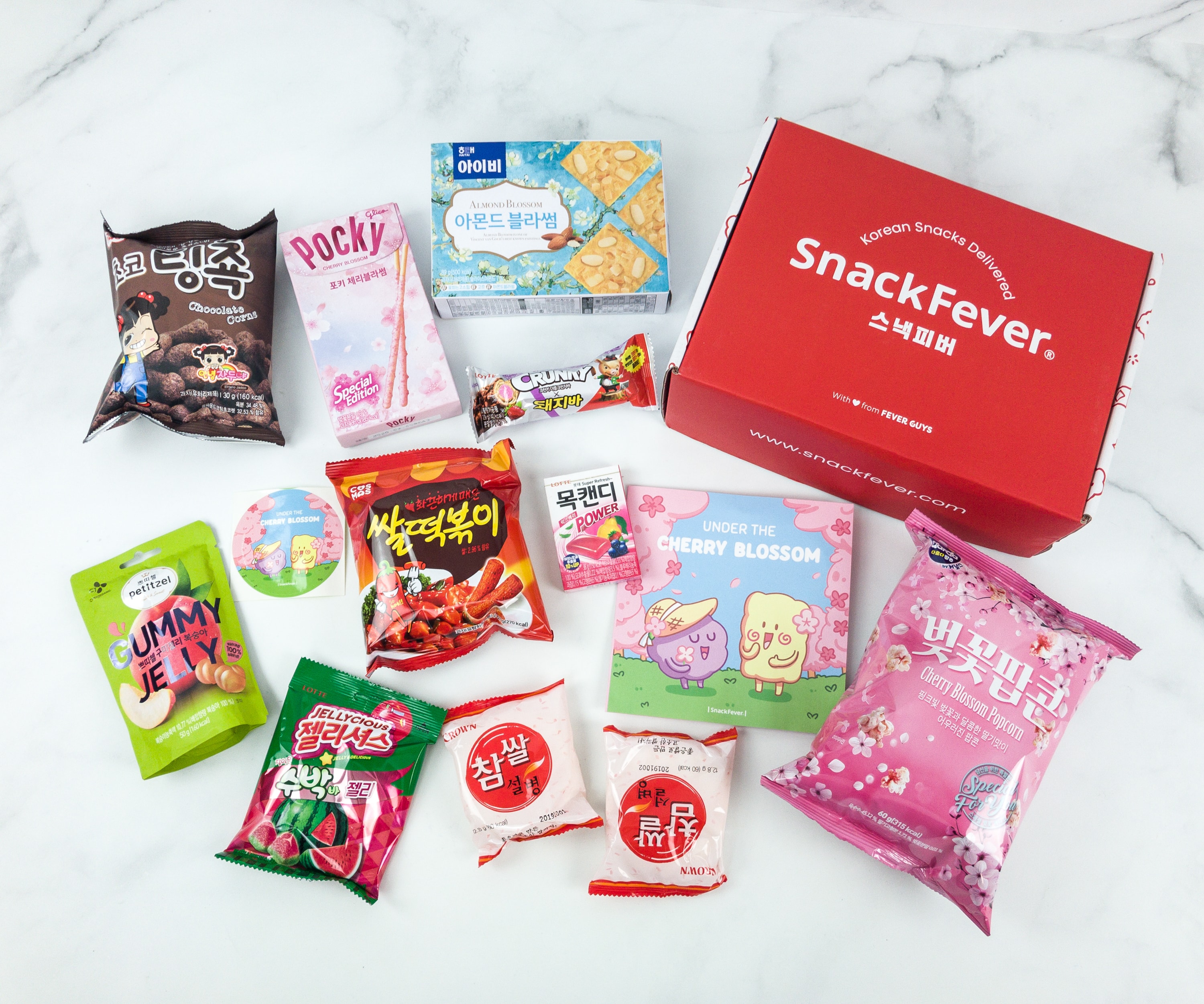 March 2019 Snack Fever Subscription Box Review + Coupon – Original Box!