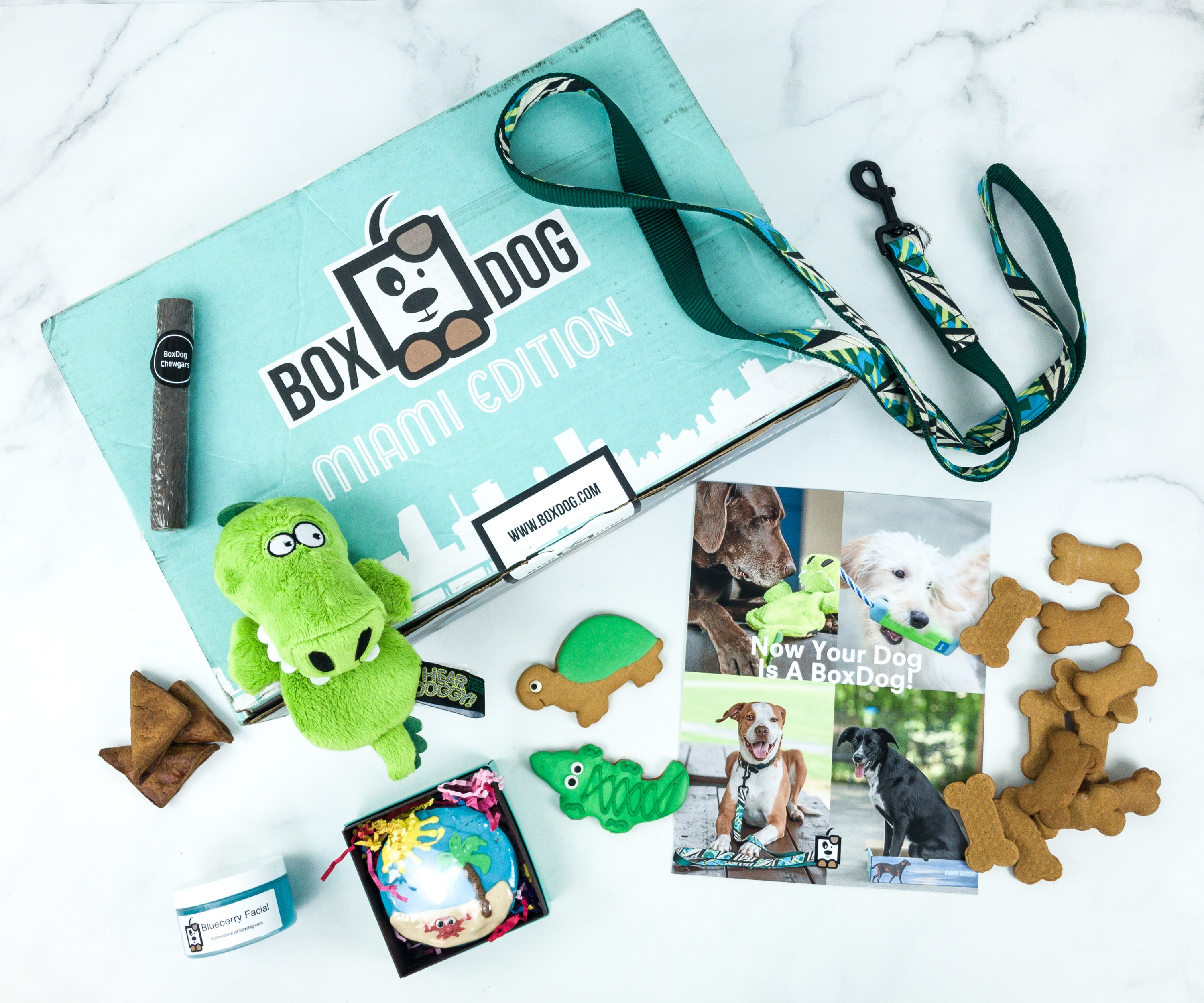 BoxDog Summer 2019 Subscription Box Review + Coupon