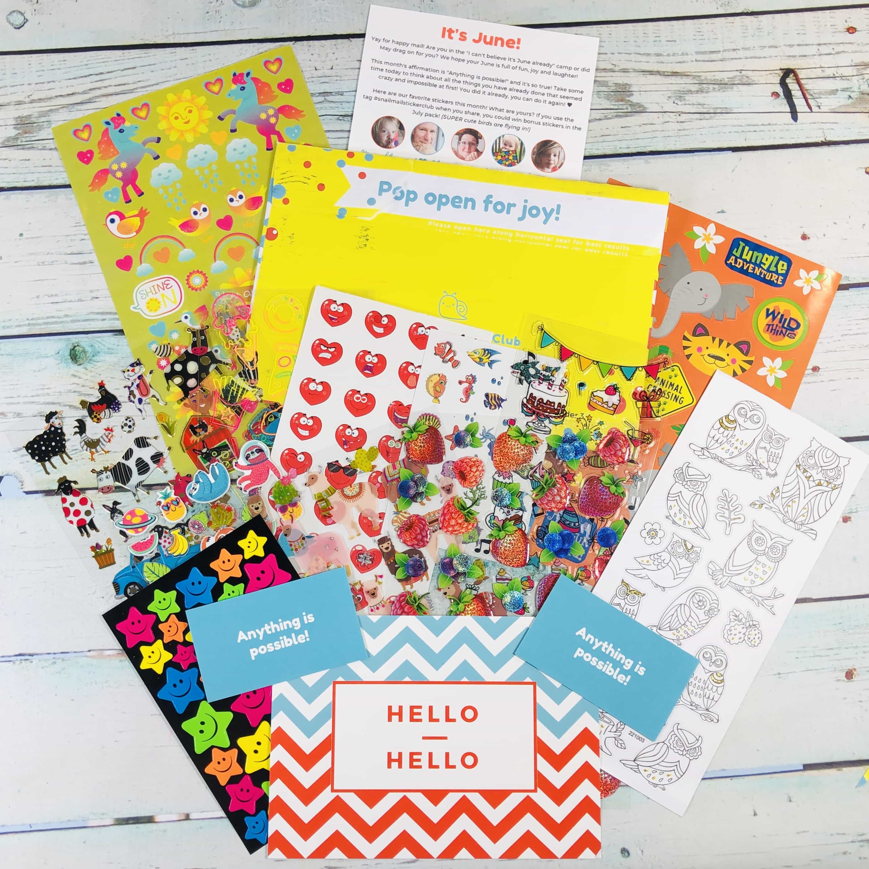 Snail Mail Sticker Club June 2019 Subscription Box Review + Coupon