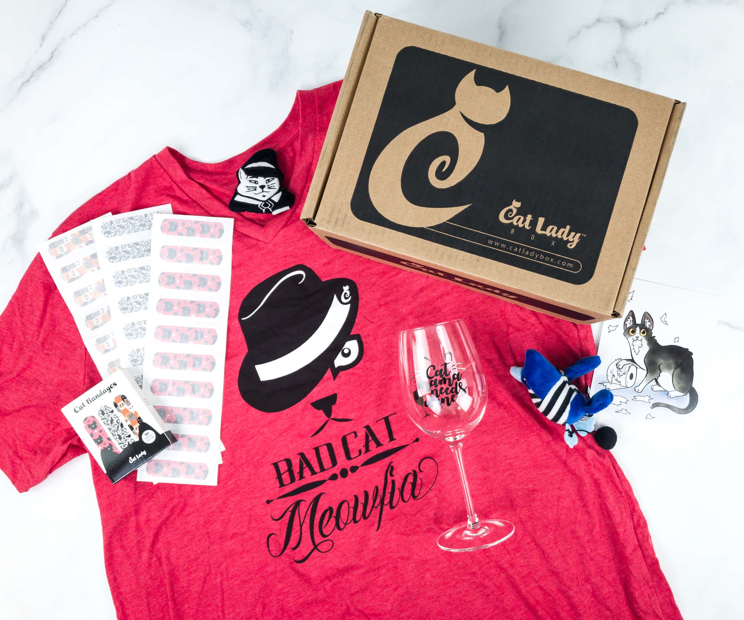 Cat Lady Box July 2019 Subscription Box Review + Coupon