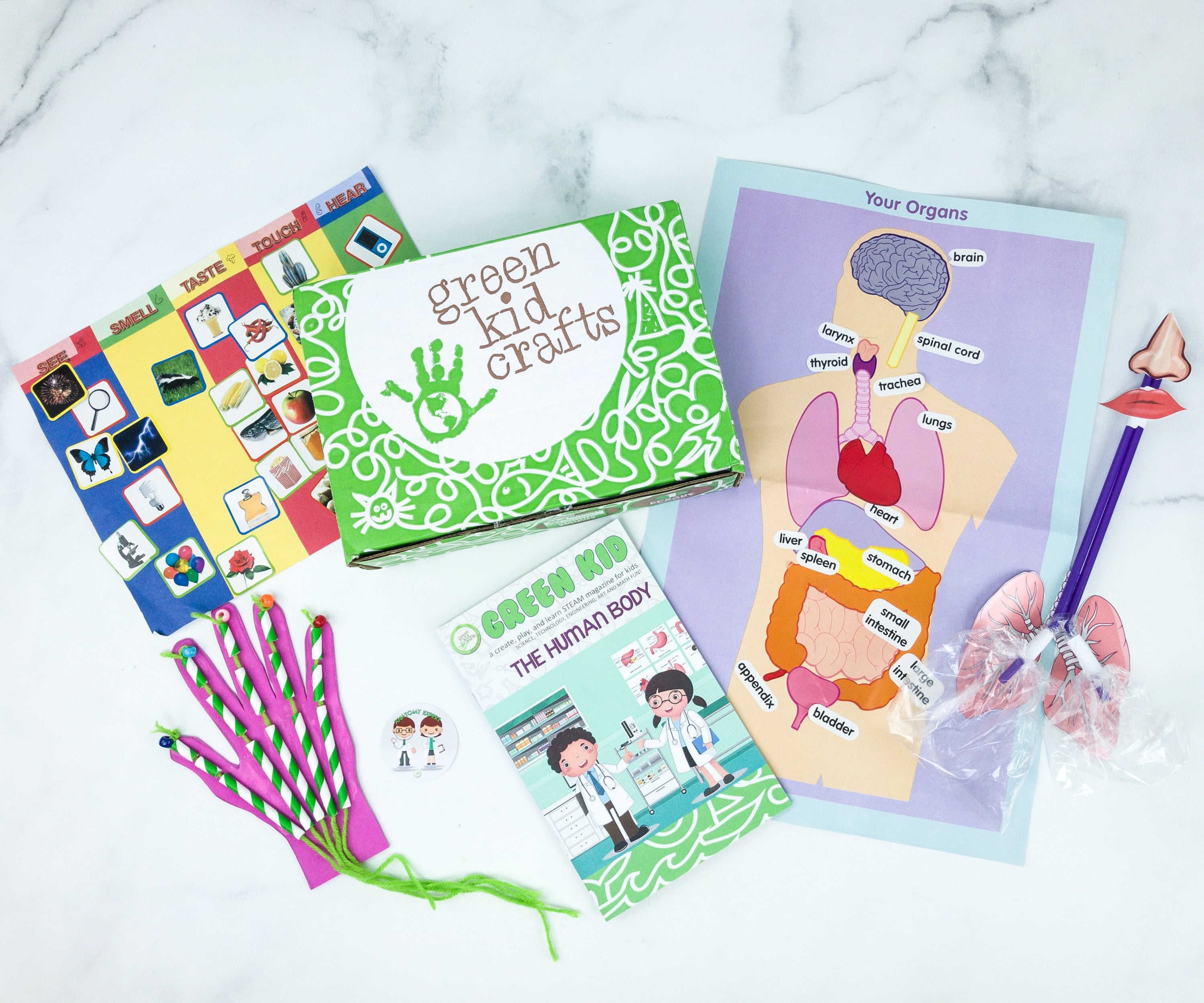 Green Kid Crafts THE HUMAN BODY Subscription Box Review + 50% Off Coupon!