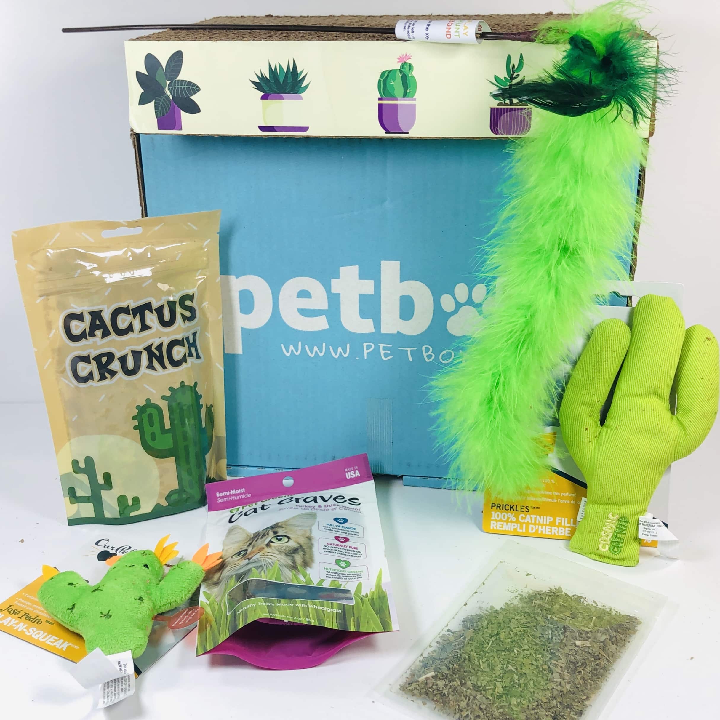 PetBox CAT August 2019 Subscription Review & 50% Off Coupon