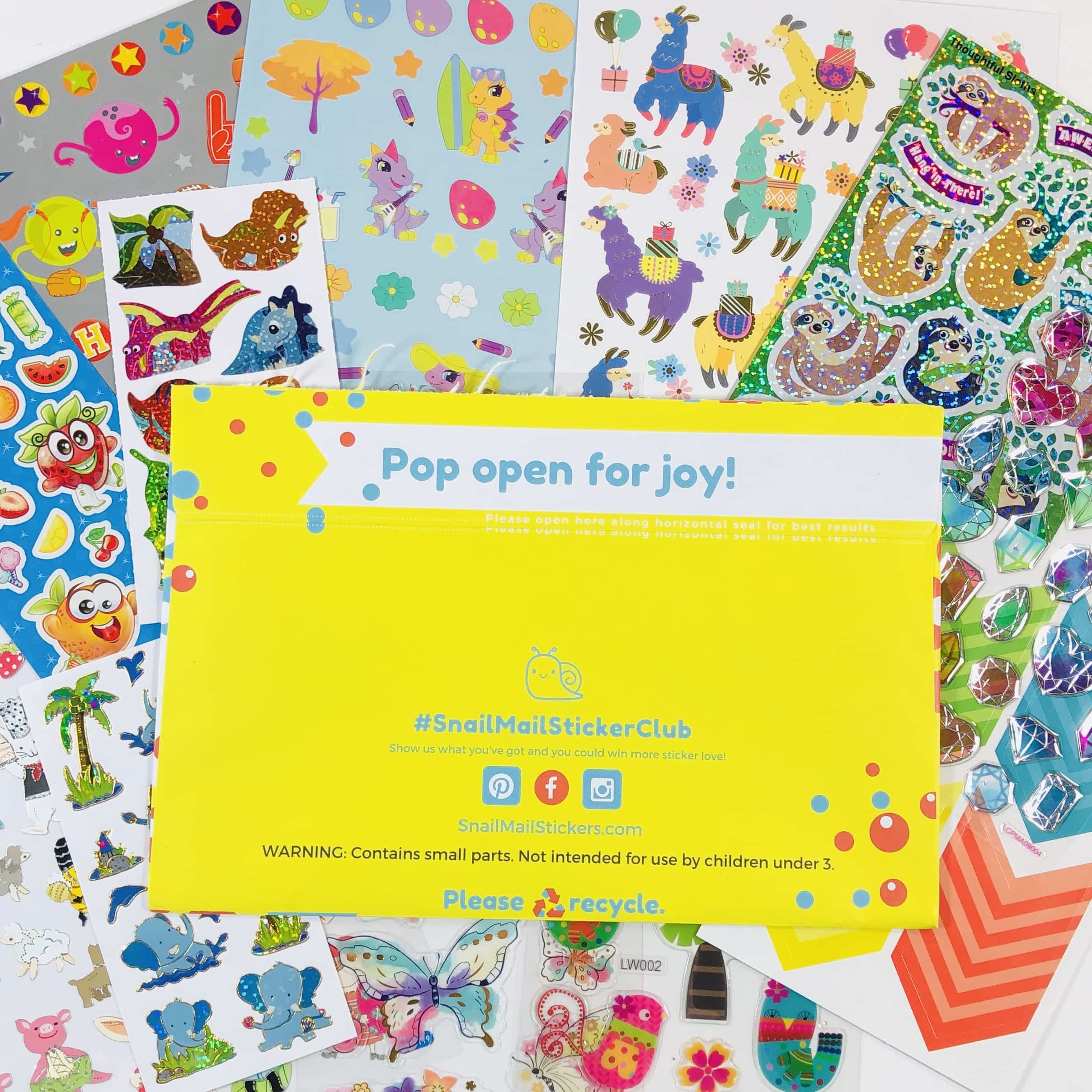 Snail Mail Sticker Club November 2019 Subscription Box Review + Coupon