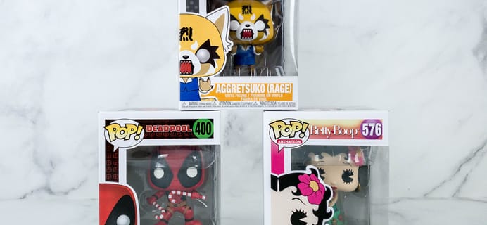 Pop In A Box November 2019 Funko Subscription Box Review & Coupon
