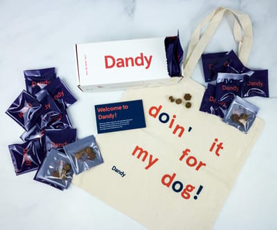 Dandy Dog Supplements Subscription Review + Coupon
