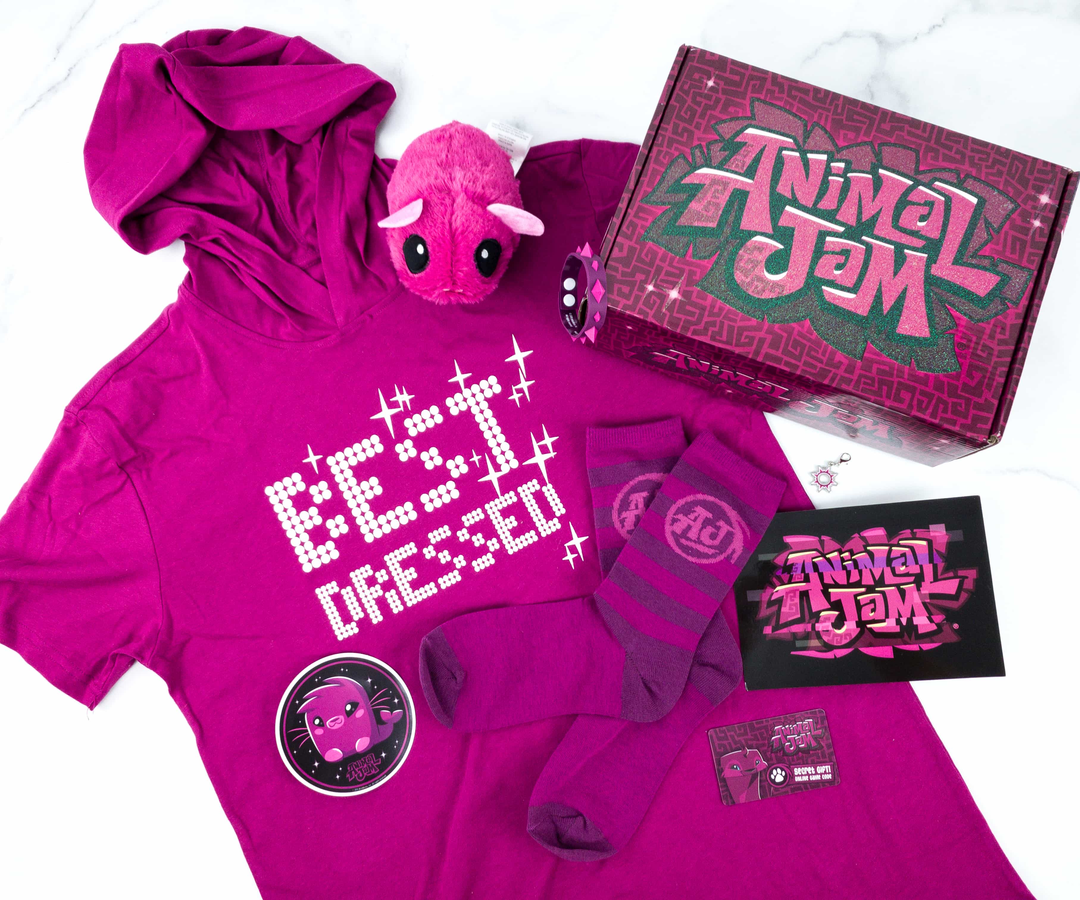 Animal Jam Box Winter 2019 Review