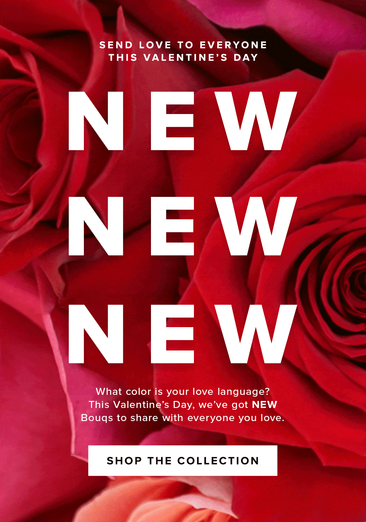 The Bouqs Valentine’s Day Coupon: Get 30% Off Sitewide!