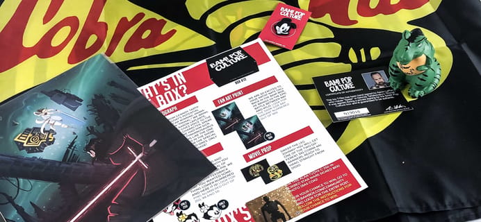 The BAM! POP CULTURE BOX November 2019 Subscription Box Review & Coupon