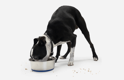 Spot and Tango Coupon – Get 50% Off First Week Premium Dog Food!