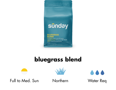 Sunday Grass Seed Blends Available Now + Coupon!