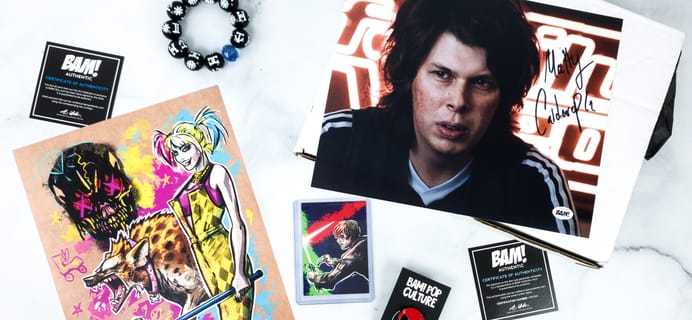 The BAM! POP CULTURE BOX February 2020 Subscription Box Review