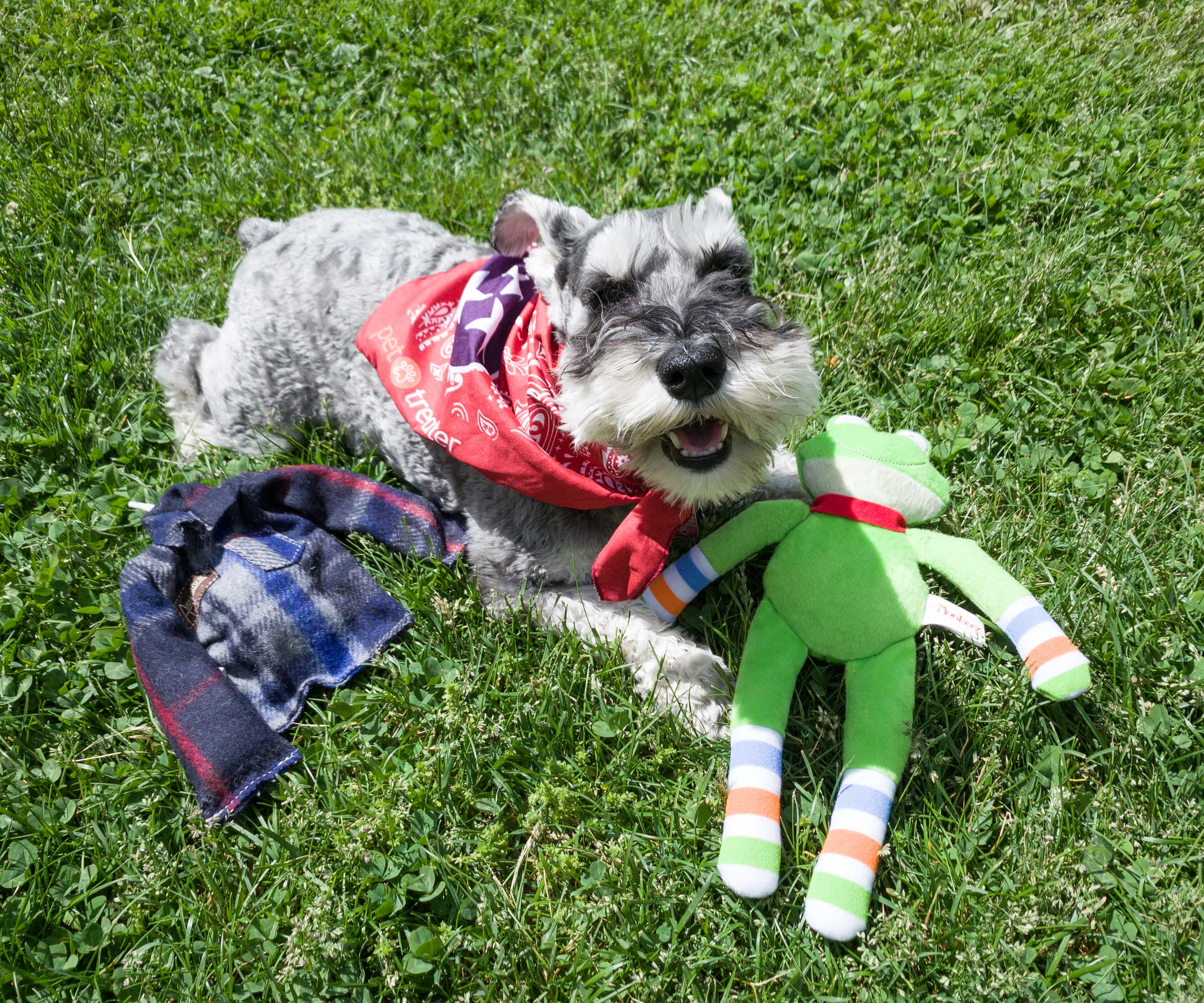Pet Treater Deluxe Dog Pack May 2020 Subscription Box Review + Coupon