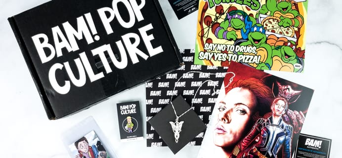 The BAM! Geek Box Review – Vol 5 Box 5