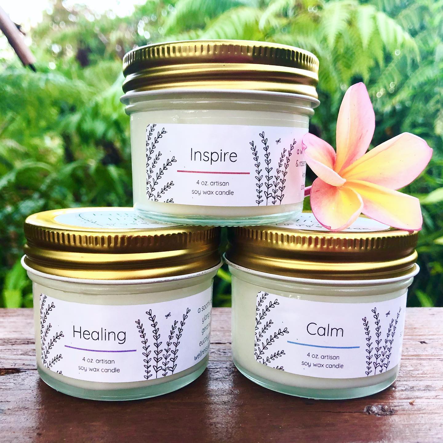 Lather and Light Co Black Friday Deal: Save 25%!