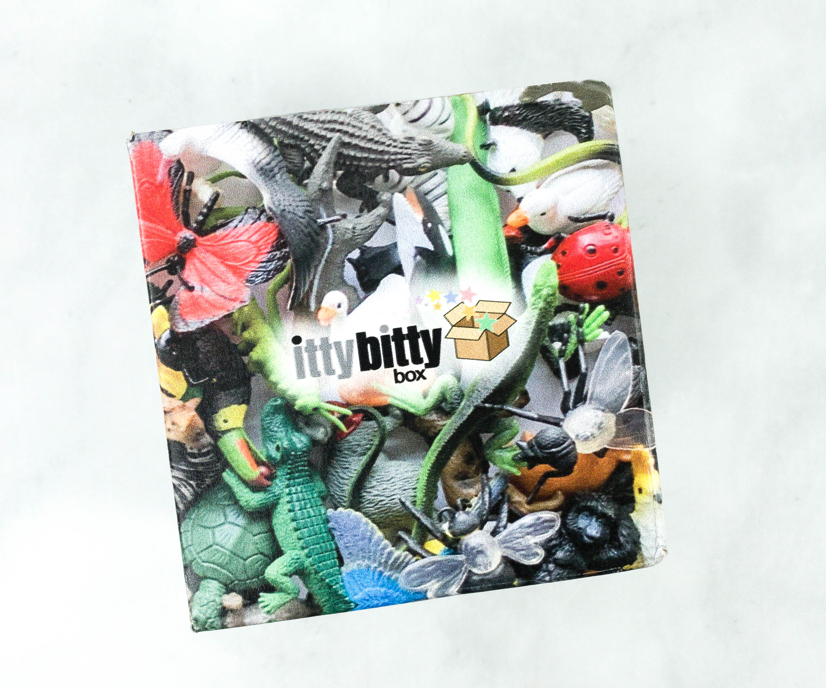 Itty Bitty Box Black Friday Deal: Get 25% Off!
