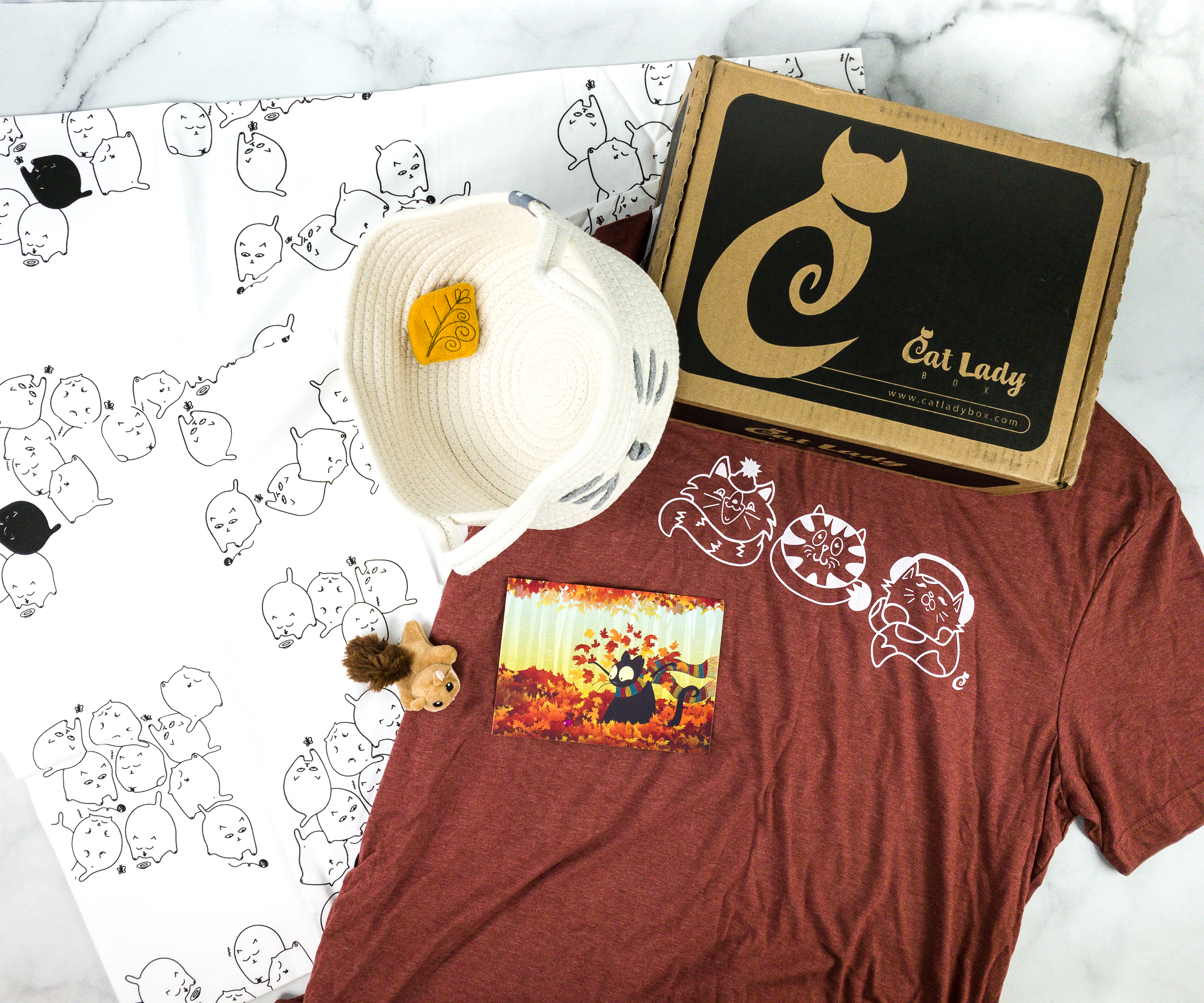 Cat Lady Box September 2020 Subscription Box Review – COZY CATS