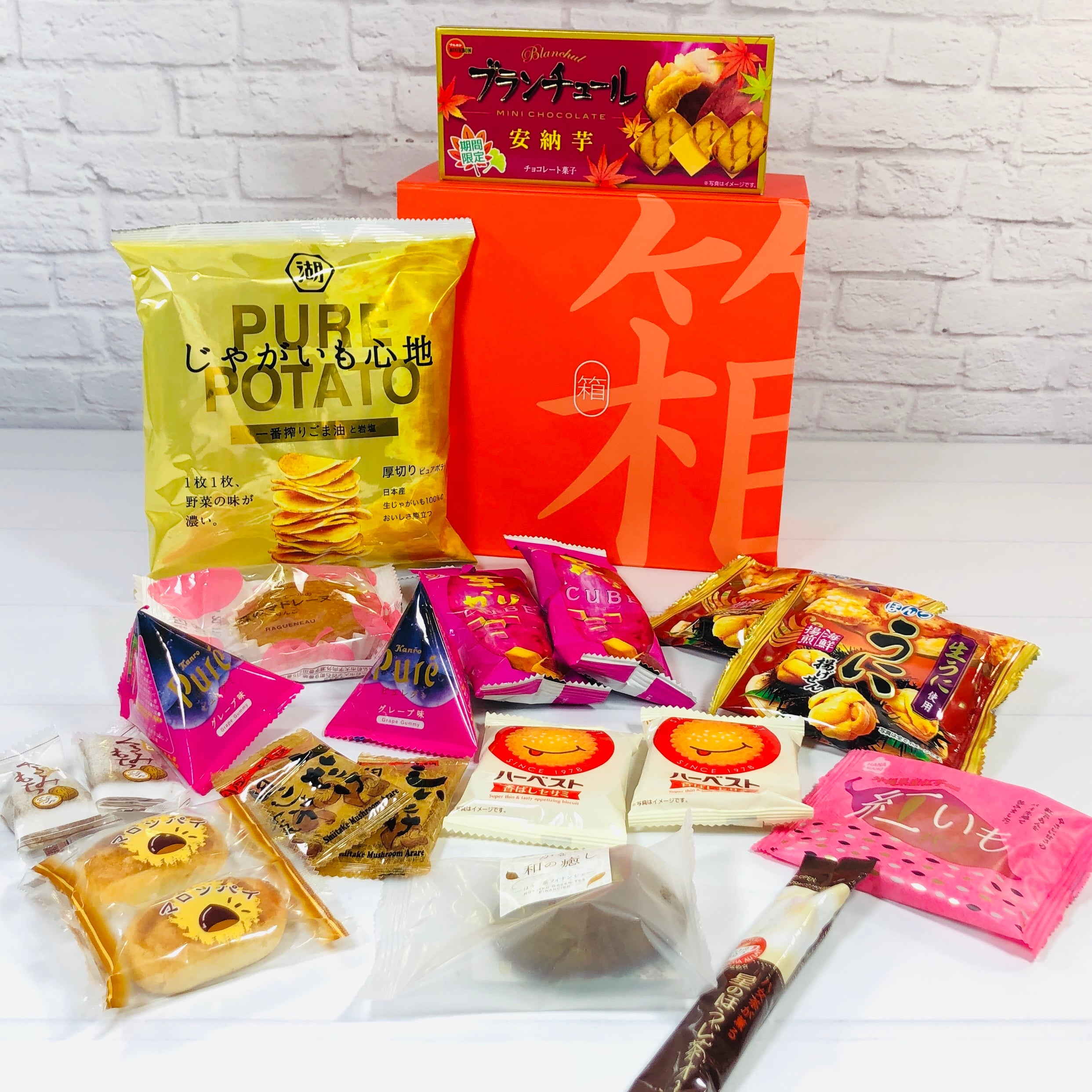 Bokksu October 2020 Subscription Box Review + Coupon