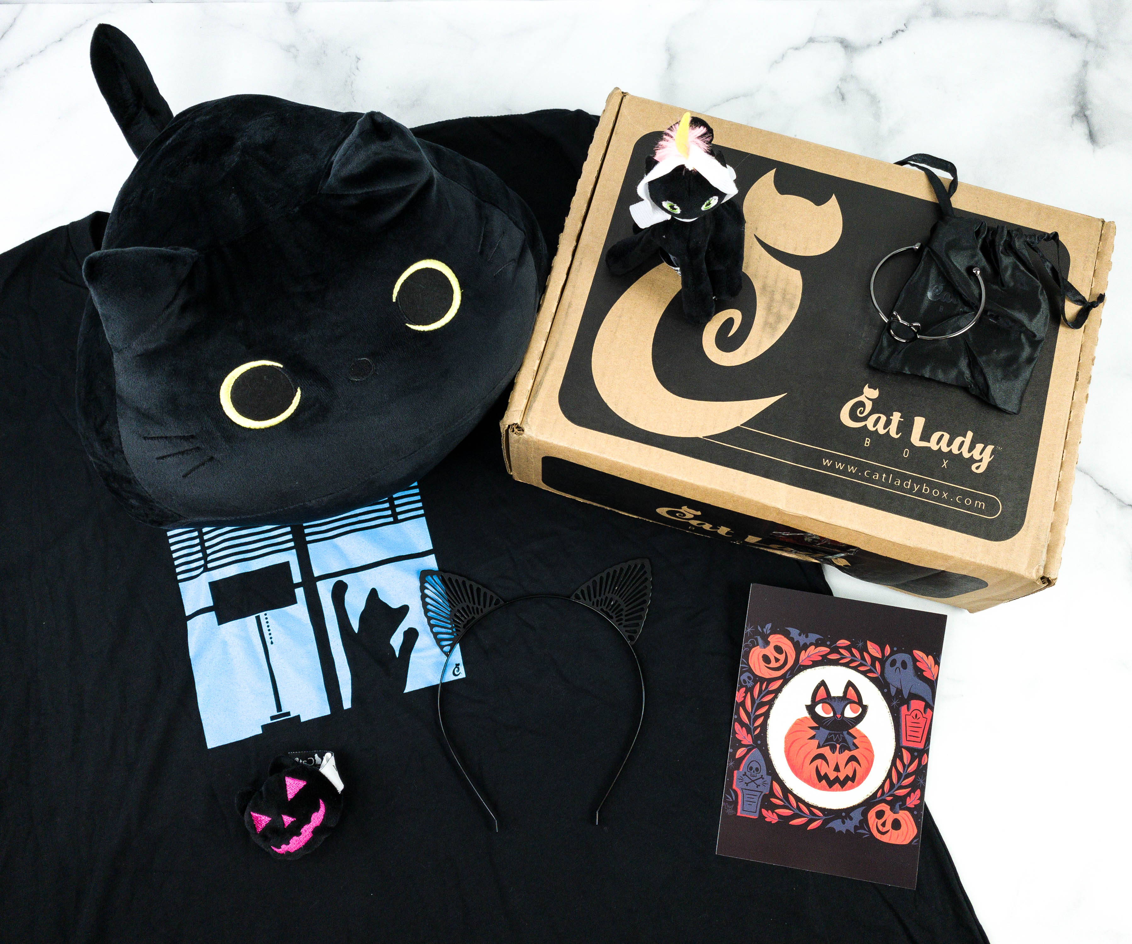 Cat Lady Box October 2020 Subscription Box Review – BLACK CATS
