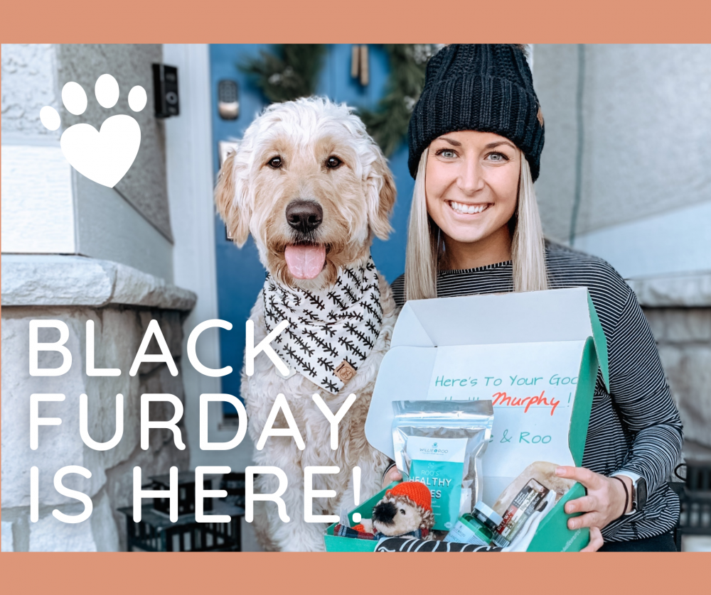 Willie & Roo Black Friday Sale: Get 30% Off EVERYTHING!