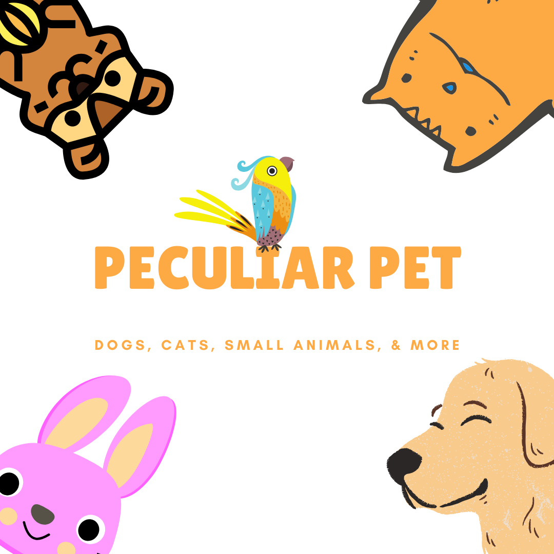 Unboxing the Bizarre Peculiar Pet Holiday Box Black Friday: Save On Boxes for Every Kind of Pet!