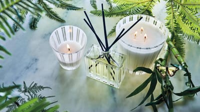 NEST New York Cyber Monday Deal: Get 25% off + FREE Rollerball with ANY order + FREE Candle with $200+!