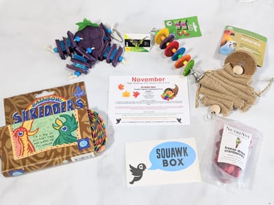 Squawk Box November 2020 Subscription Review
