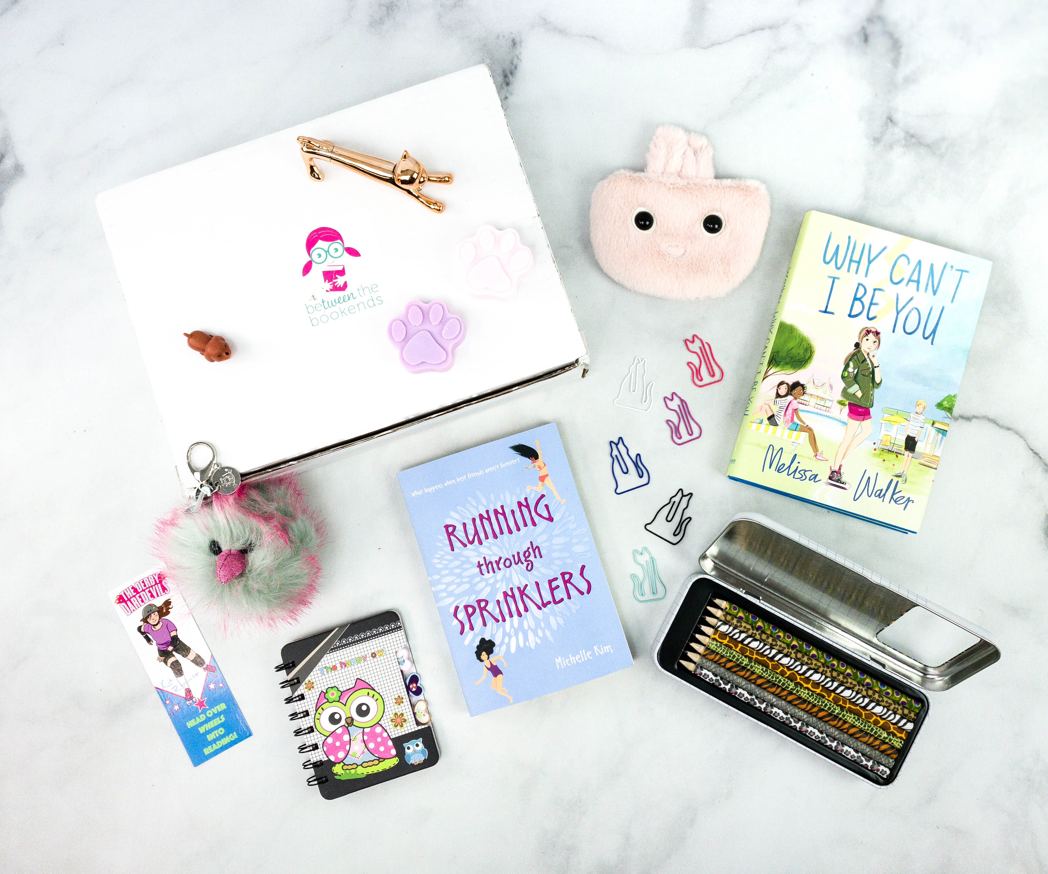 beTWEEN the Bookends November 2020 Subscription Box Review + Coupon