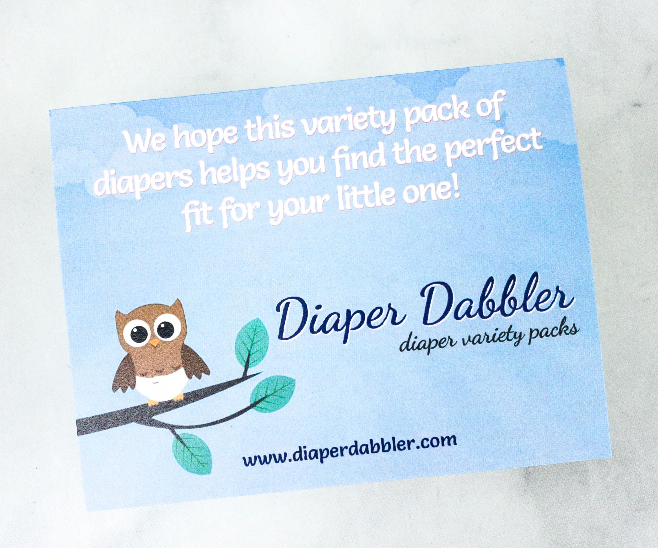 Diaper Dabbler Review - Newborn Babes Diaper Pack - Hello Subscription